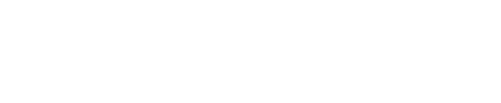Ruger logo with a stylized phoenix and the word Ruger in bold capital letters.