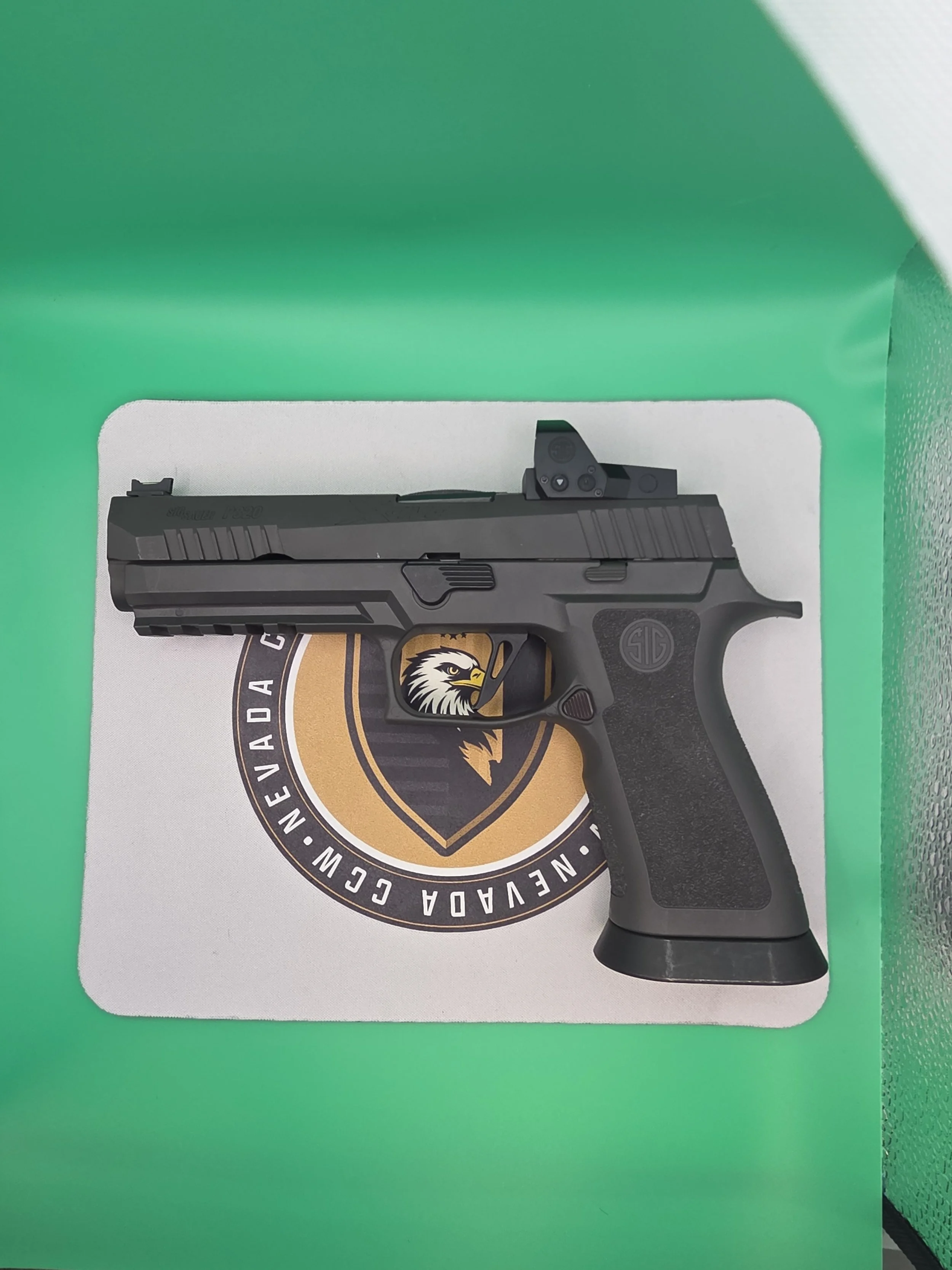 A box with a diagram of a handgun and a logo of Nevada or Nevada CCW with a cartoon eagle logo, placed inside a green box.