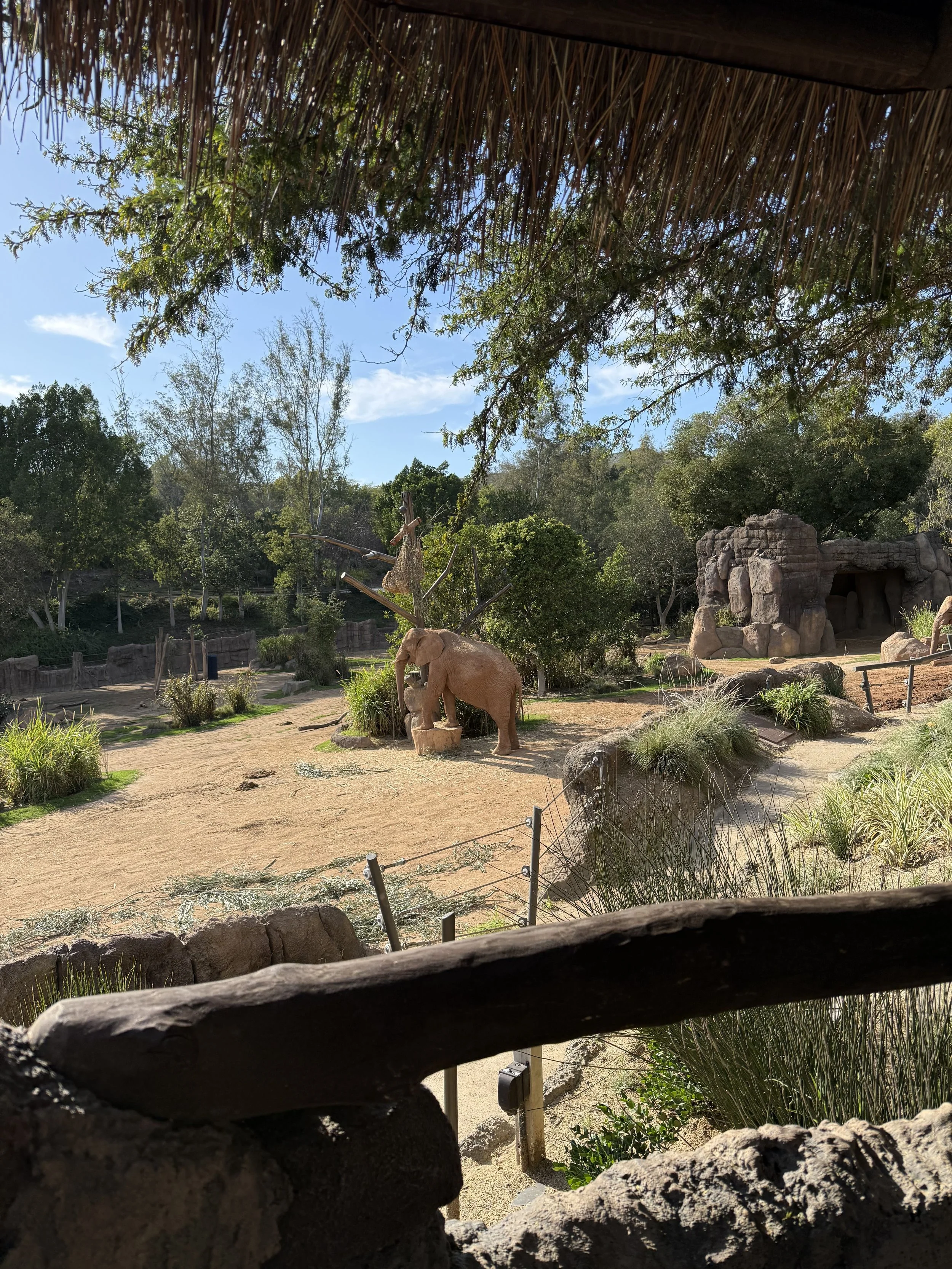 Denny Sanford's Elephant Valley