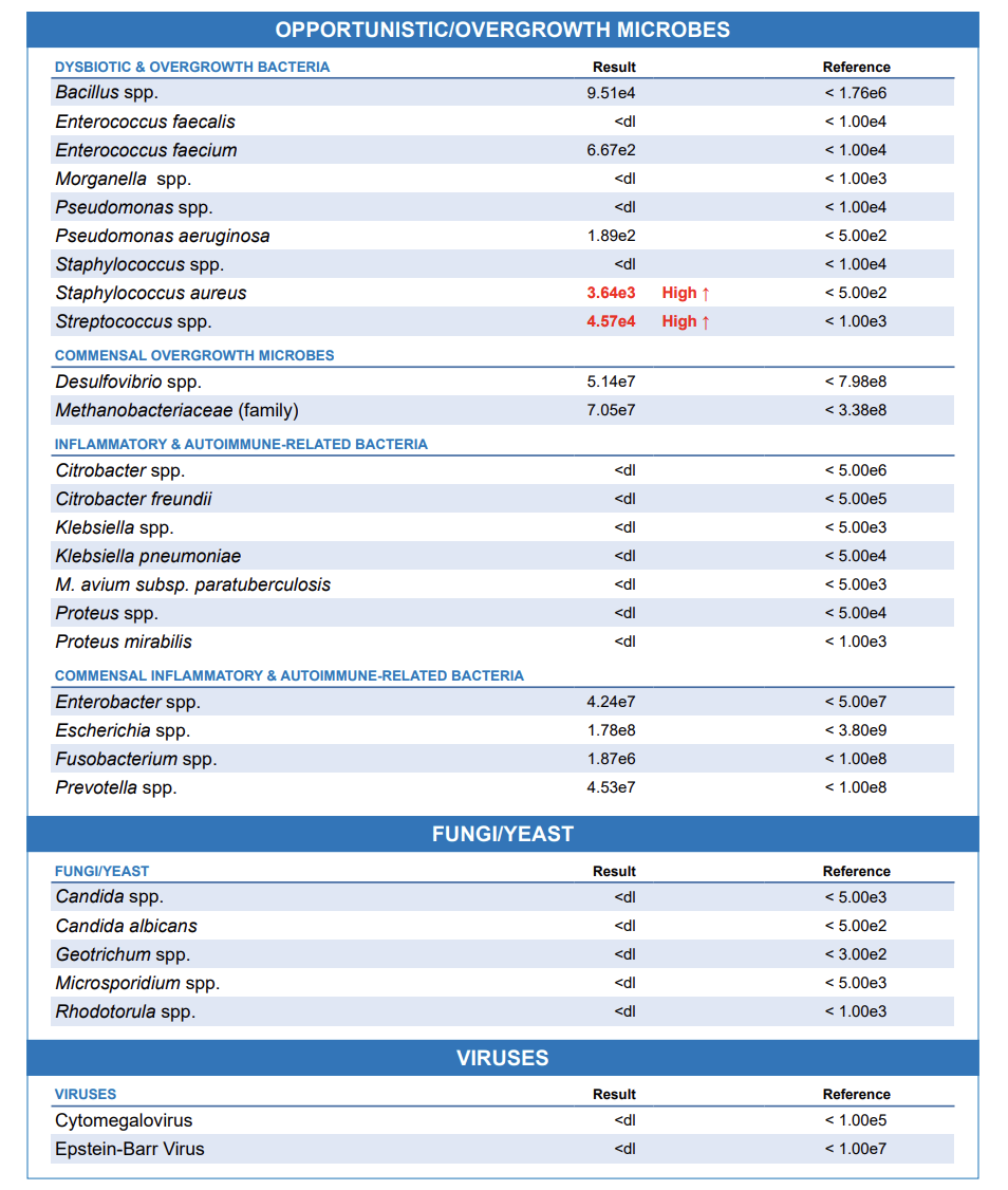 Laboratory test results for opportunistic, dysbiotic, inflammatory bacteria, fungi, yeast, and viruses, showing high levels of certain bacteria such as Staphylococcus aureus, Streptococcus spp., and others.