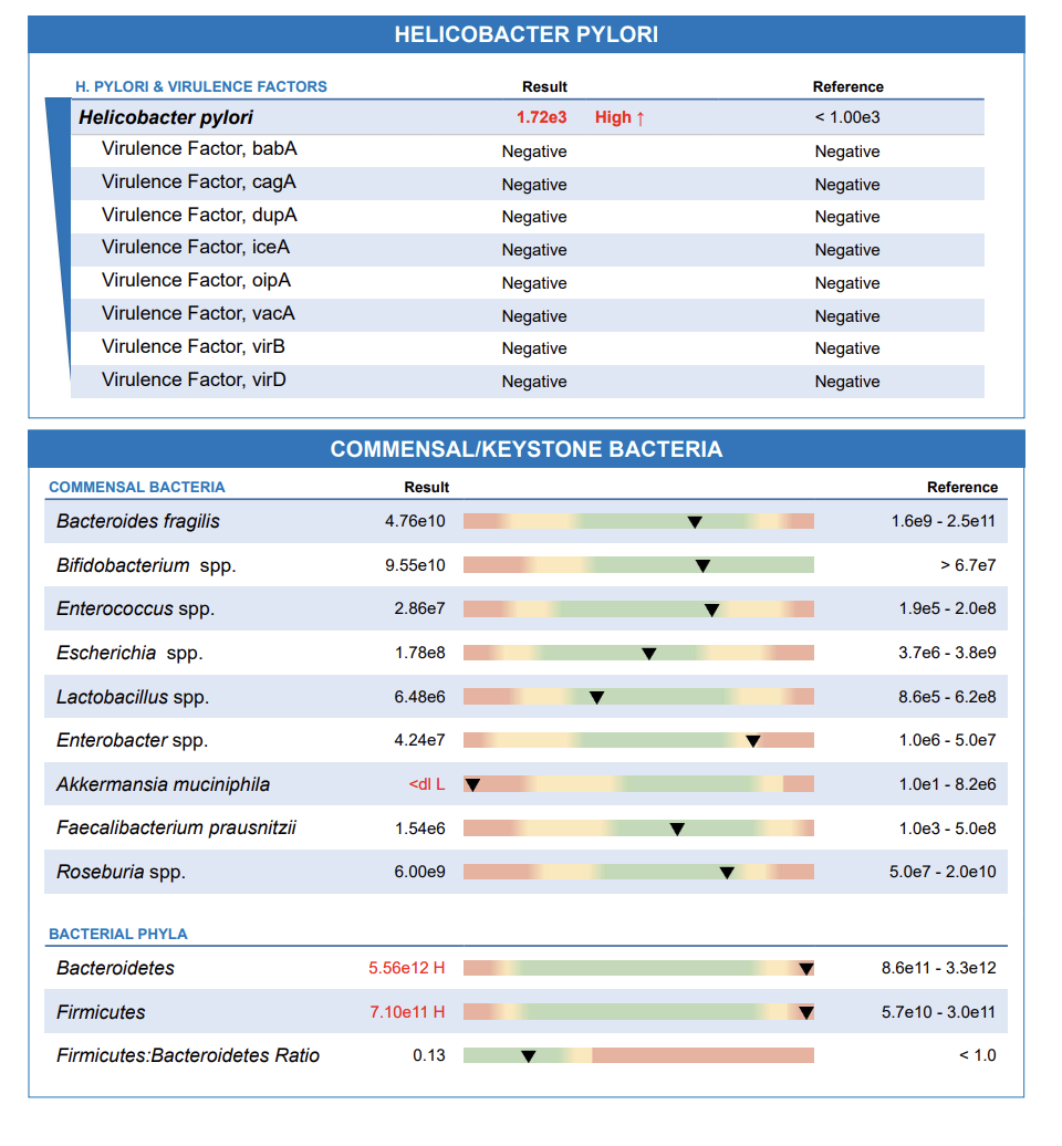 Laboratory report table showing results of tests for Helicobacter pylori and other bacteria. Helicobacter pylori result is high. Several other bacteria are listed with various concentration levels, some marked as high or low. The table includes references for each bacteria.