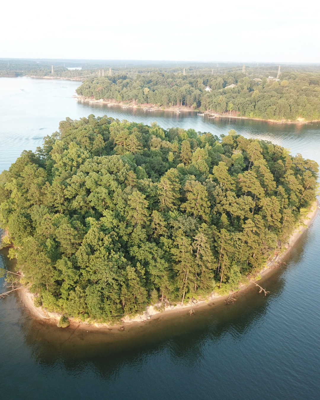 Aerial view of a small, tree-covered island surrounded by water, with shoreline and trees extending onto the water and distant land with bridges visible in the background.
