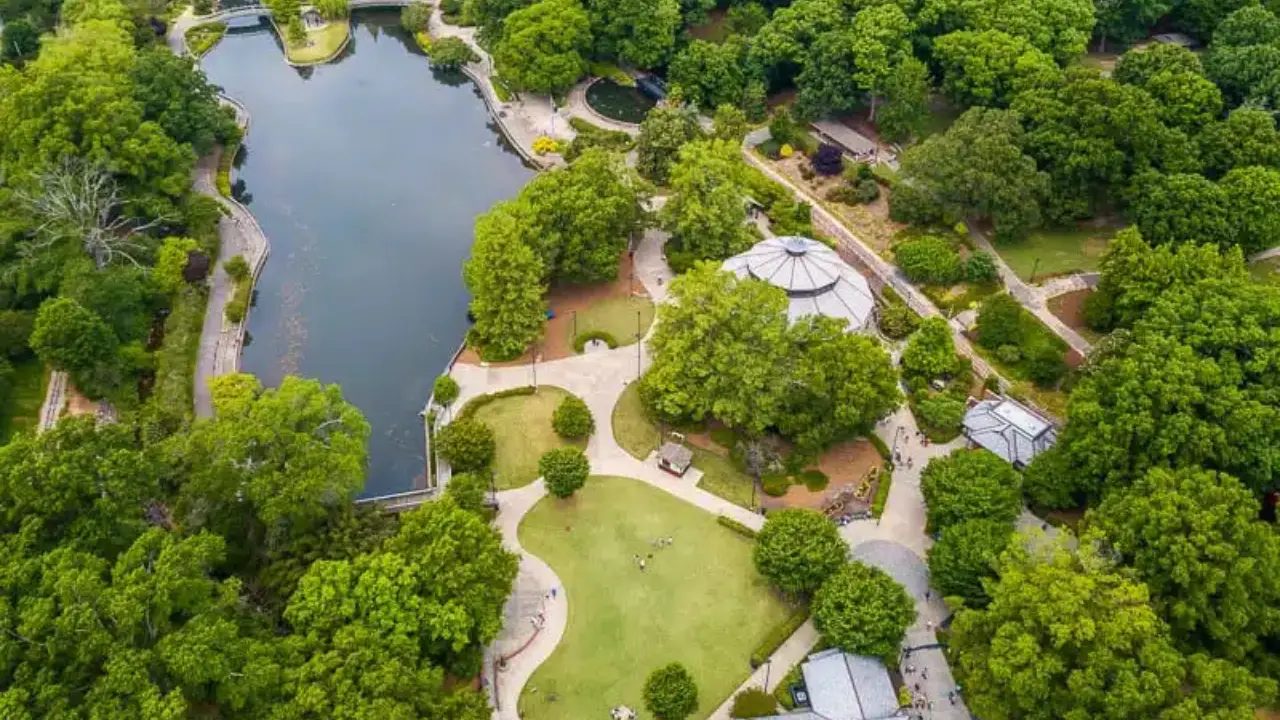 4-2 (1).jpg