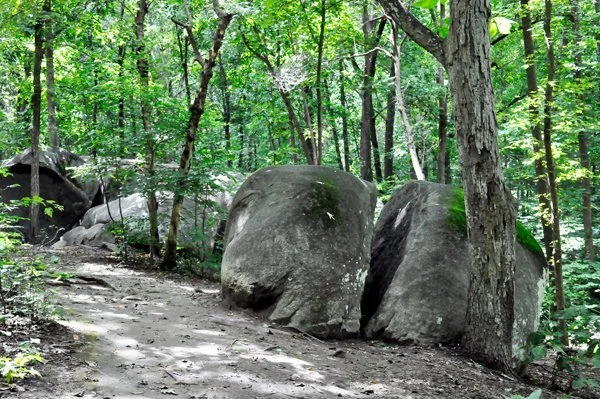 Big Rock Nature Preserve.jpg