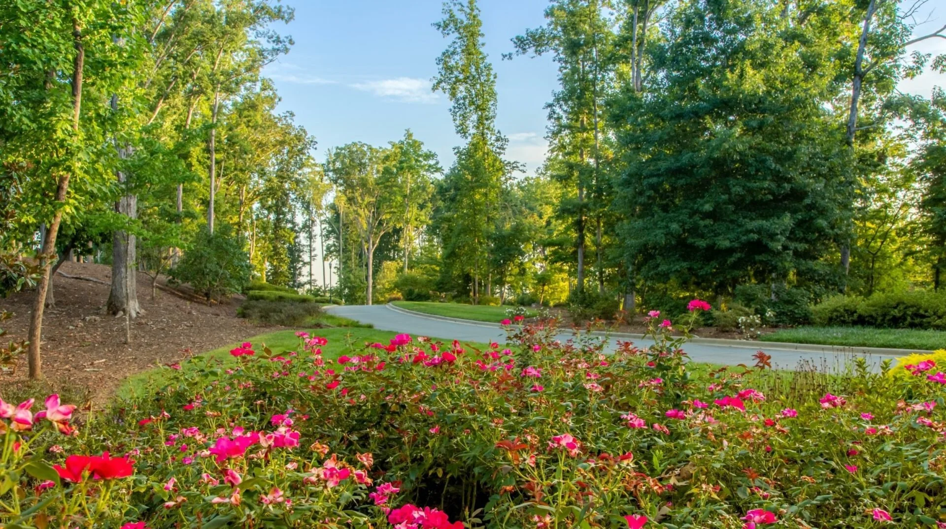 trilogy-lake-norman-landscaped-entrance-gardens-55-plus-community-denver-nc.jpg