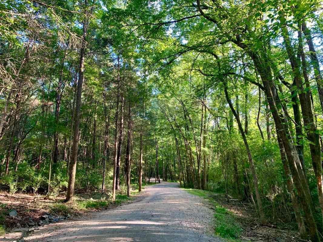 McMullen Creek Greenway