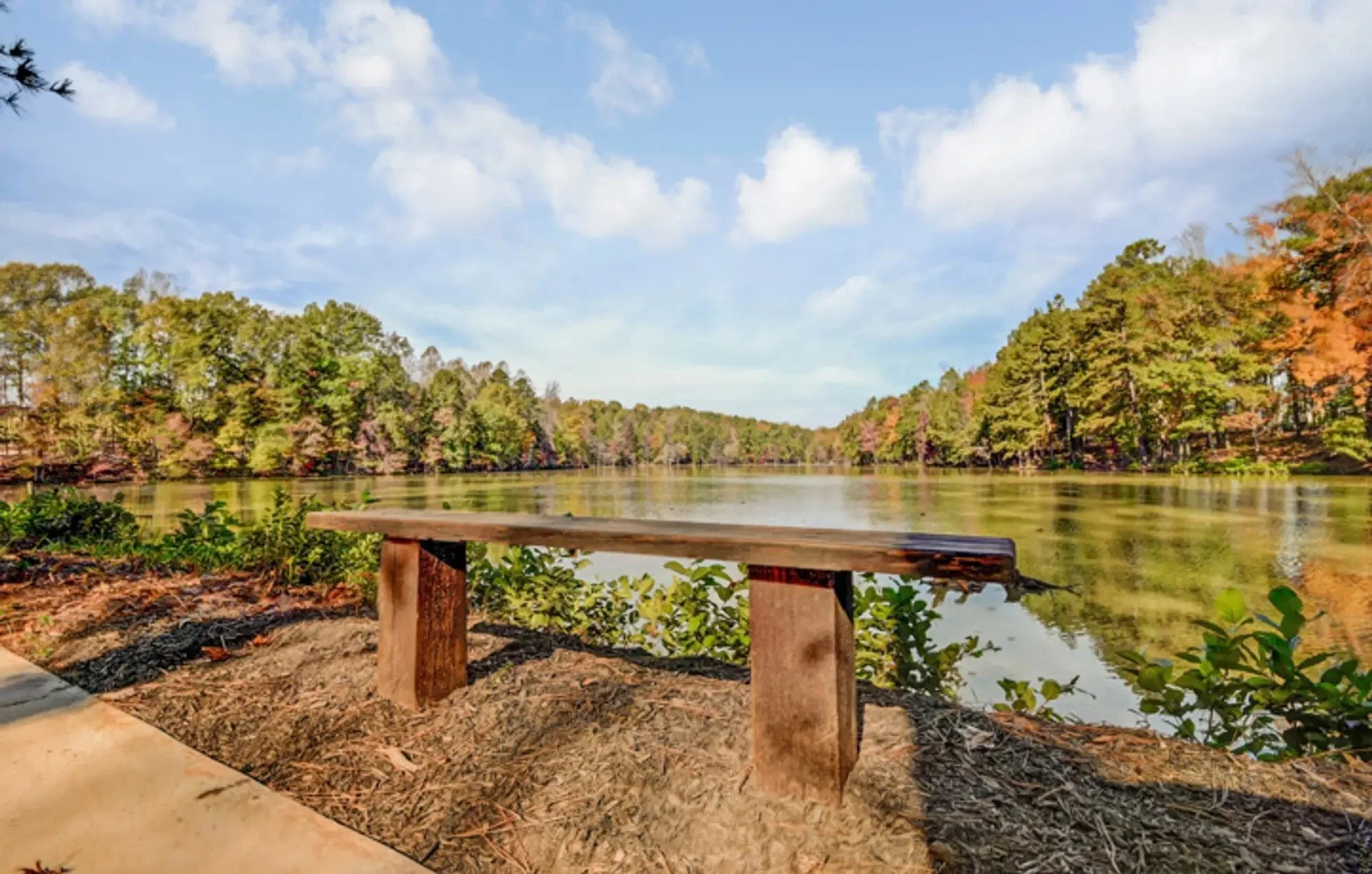 tree-tops-lancaster-lakeside-bench-and-water-view-active-adult-community-lancaster-sc.jpg