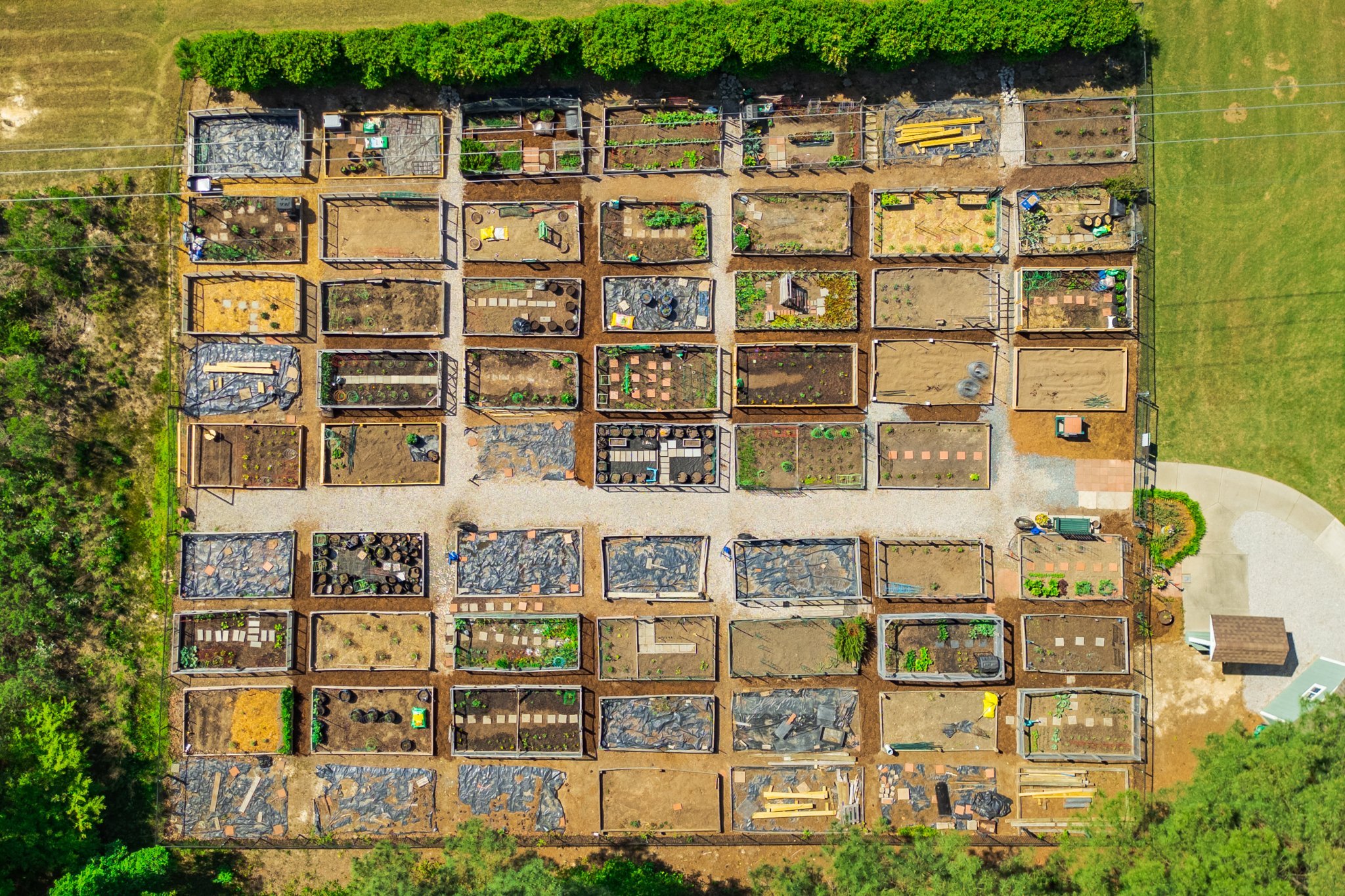 Community Gardens