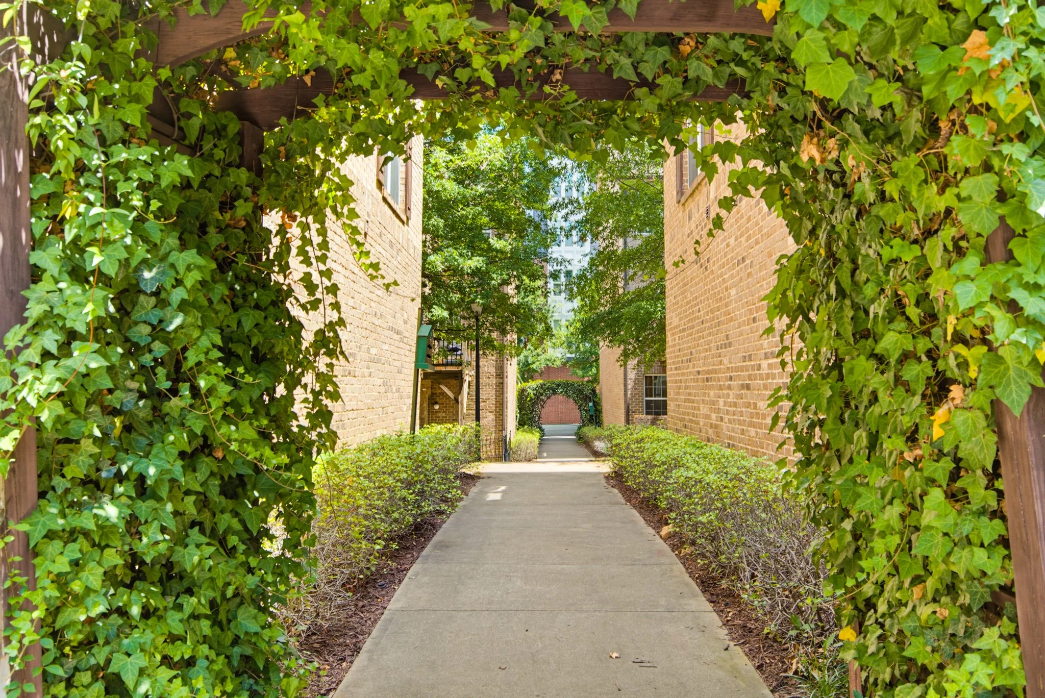 225 Lincoln Street-157.jpg