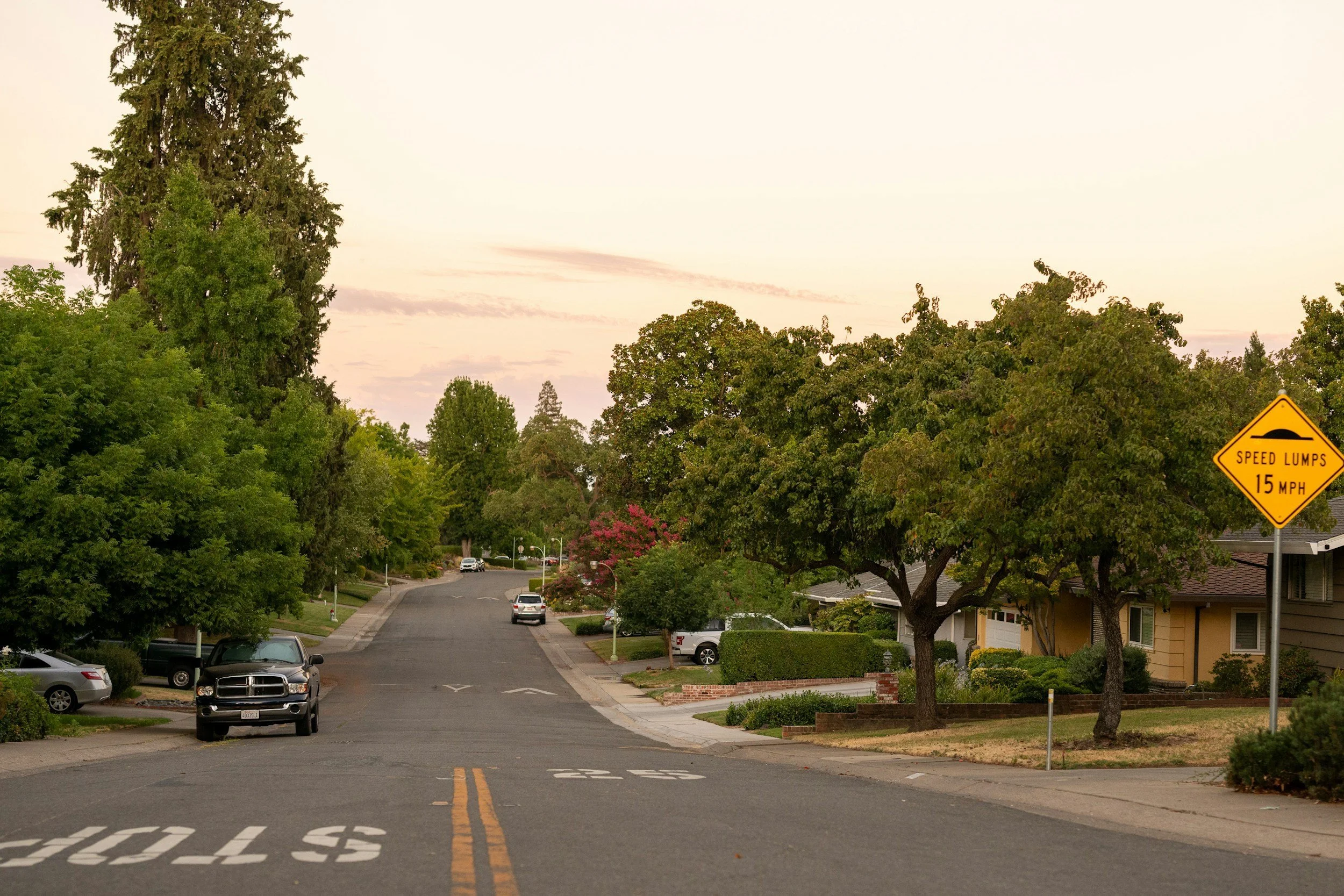 tree-lined-residential-street-at-dusk-with-parked-cars.jpg