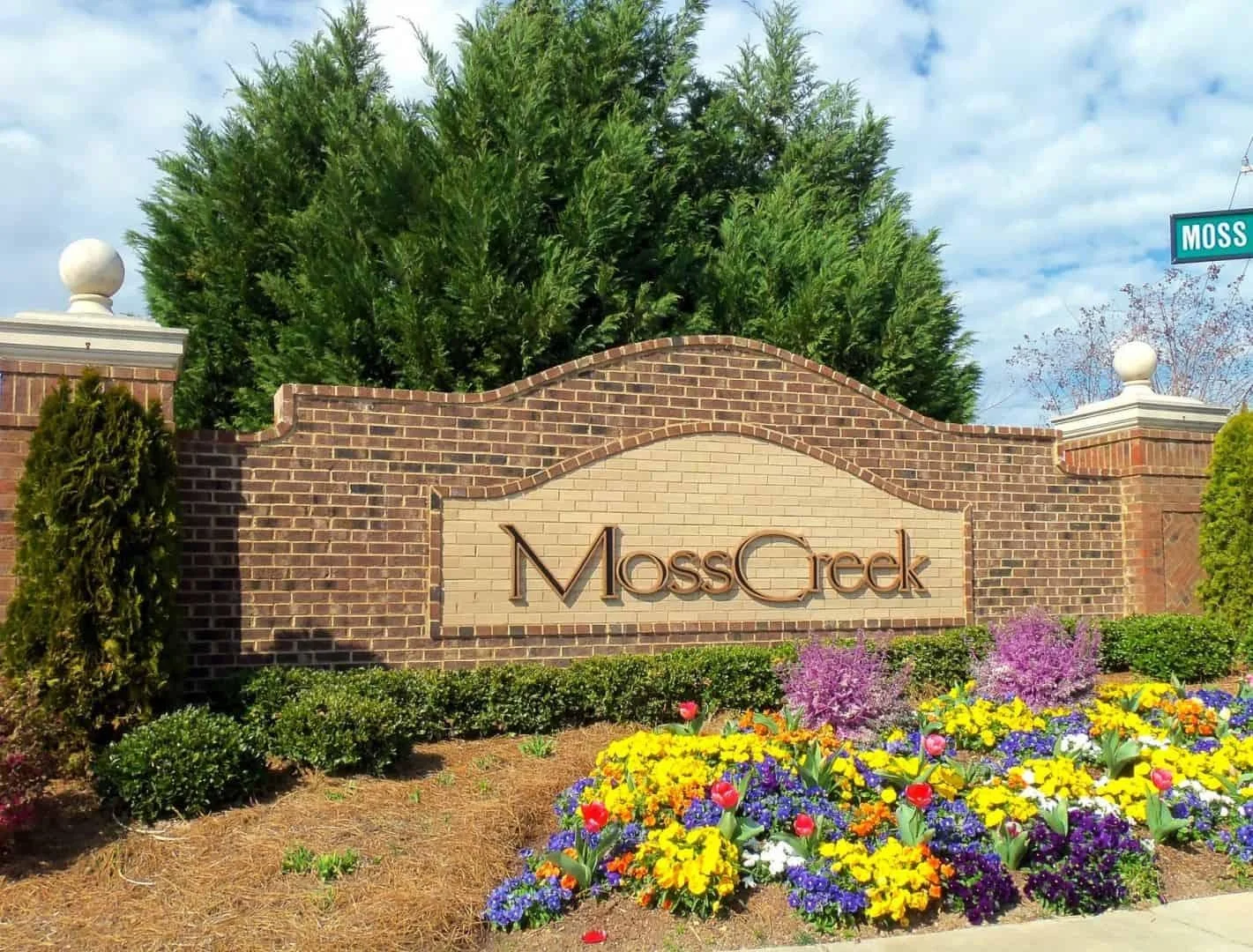 Moss Creek.jpeg