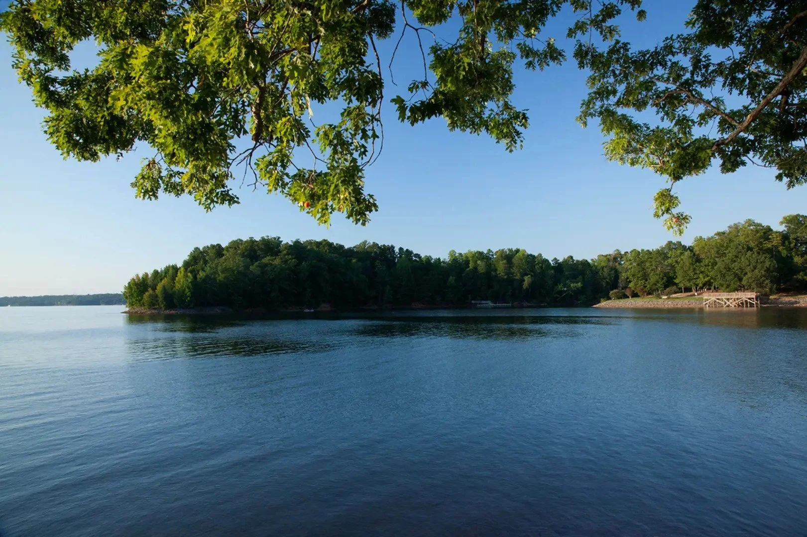 regency-at-palisades-lake-view-with-trees-and-waterfront-55-plus-community-charlotte-nc.jpg