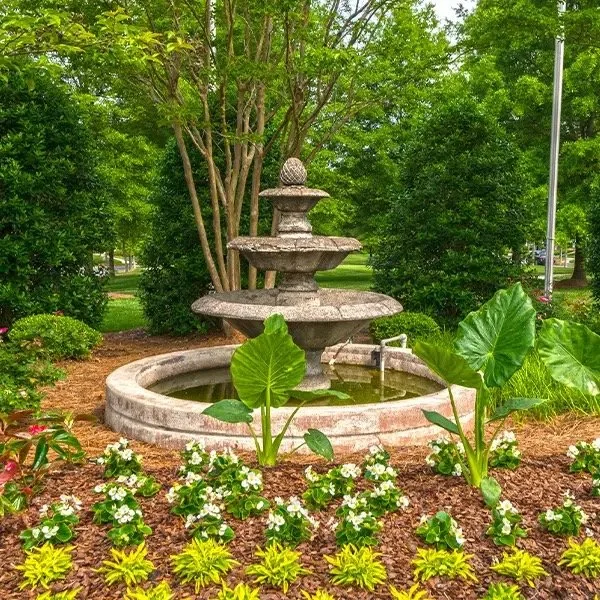 tree-tops-lancaster-garden-fountain-with-landscaping-active-adult-community-lancaster-sc.jpg