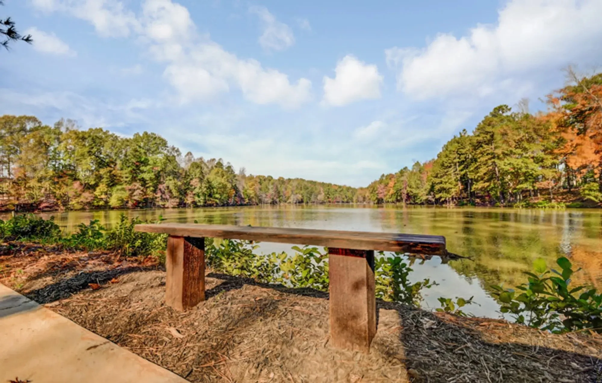 tree-tops-lancaster-lakeside-bench-and-water-view-active-adult-community-lancaster-sc.jpg