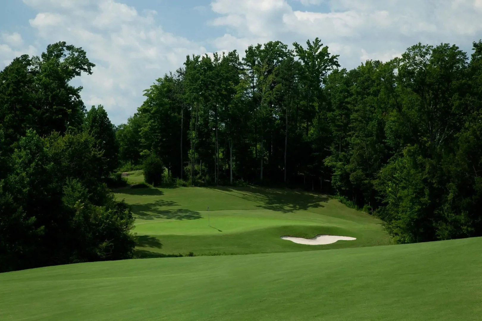 regency-at-palisades-golf-course-fairway-and-green-55-plus-community-charlotte-nc.jpg