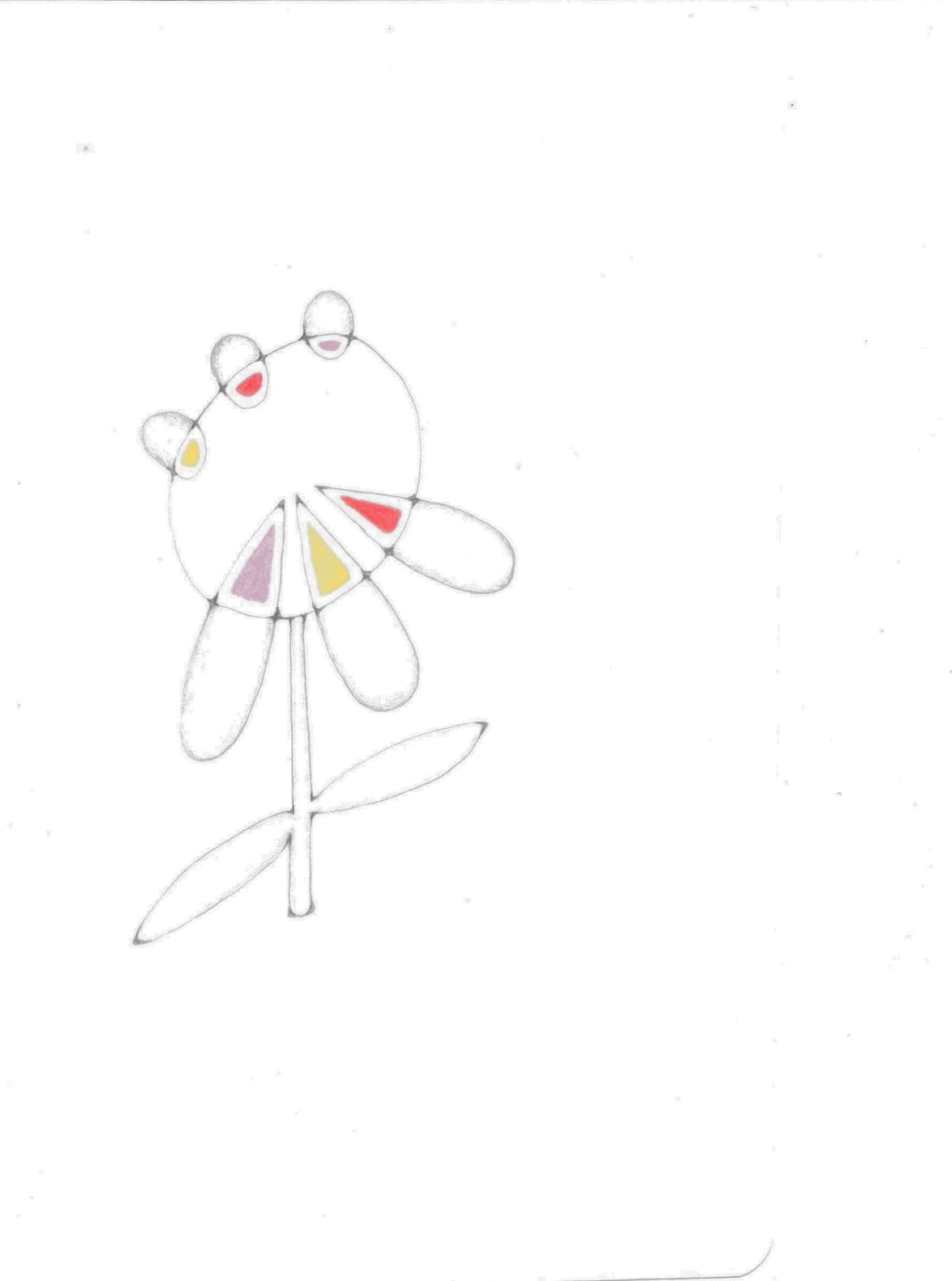 #62