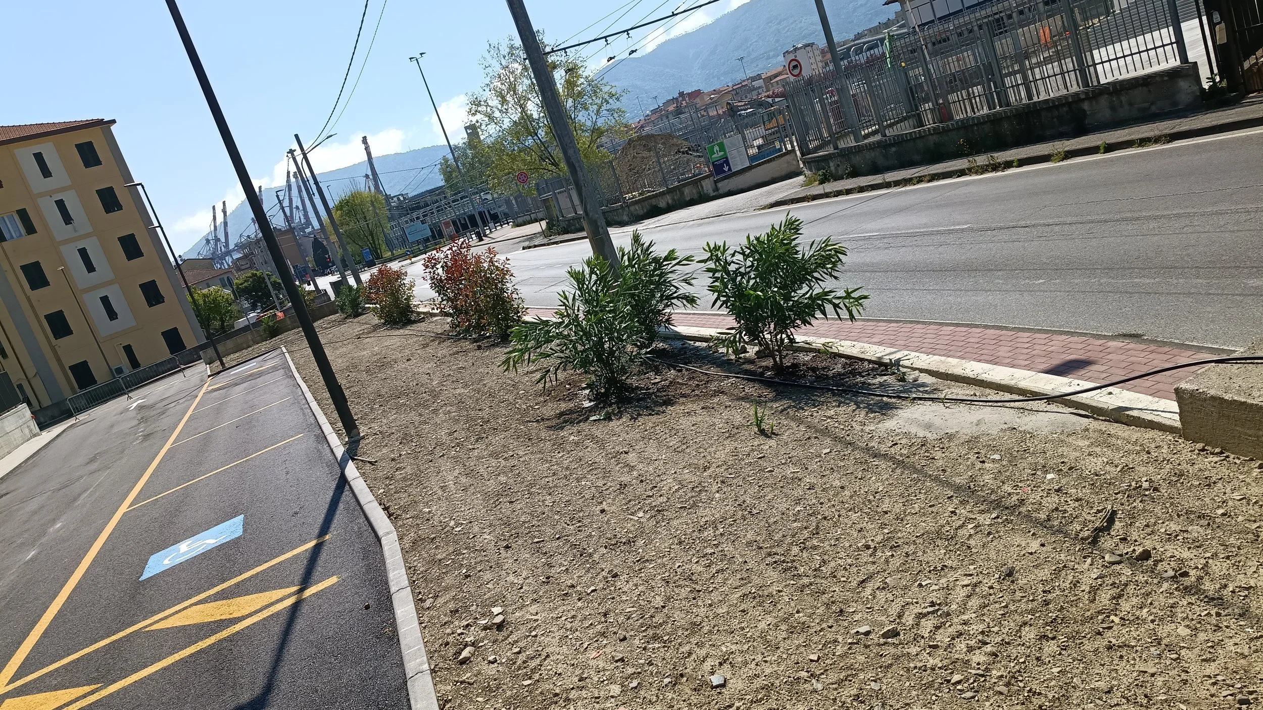 Progettazione del verde