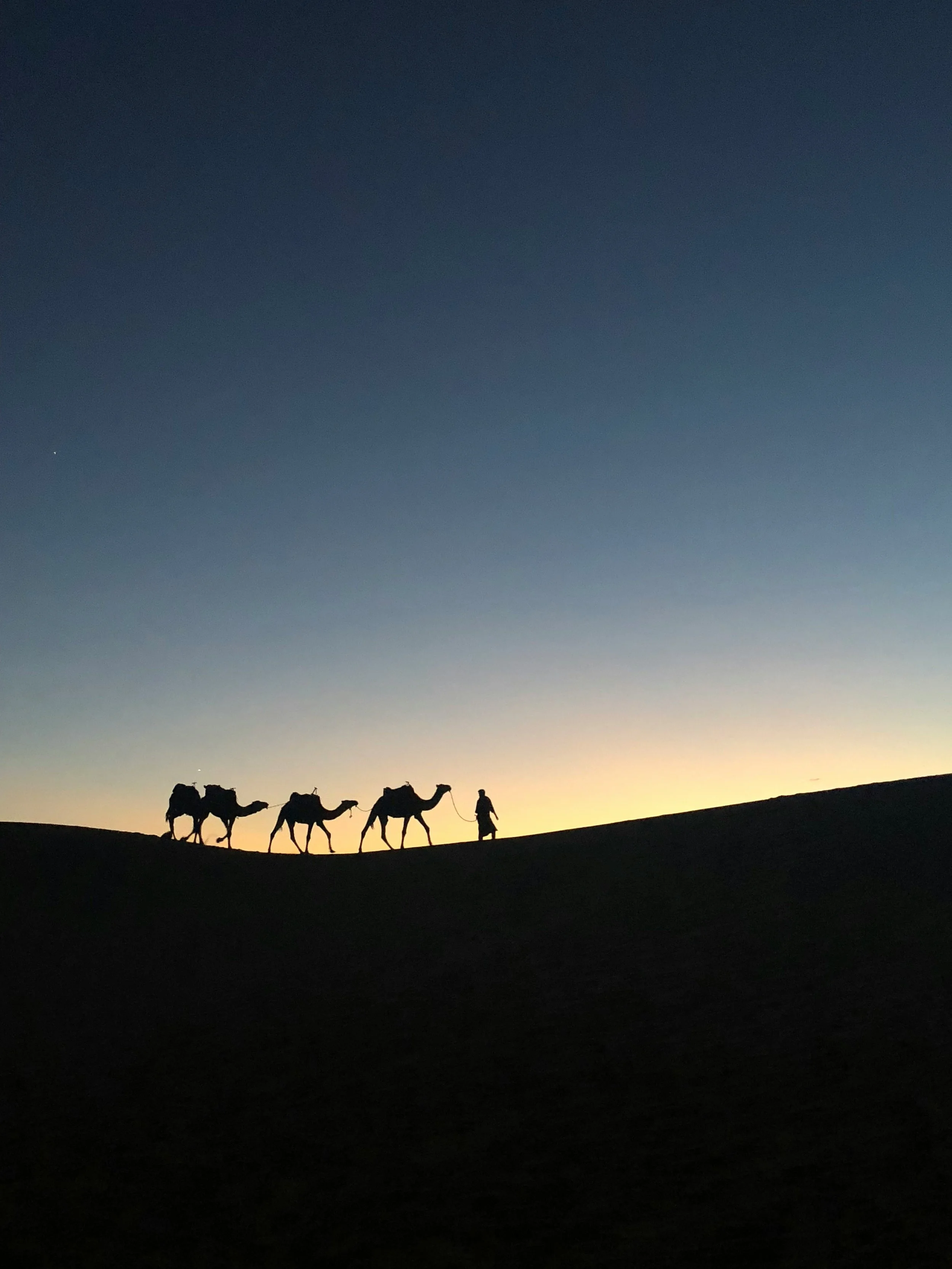 Escape to the Desert