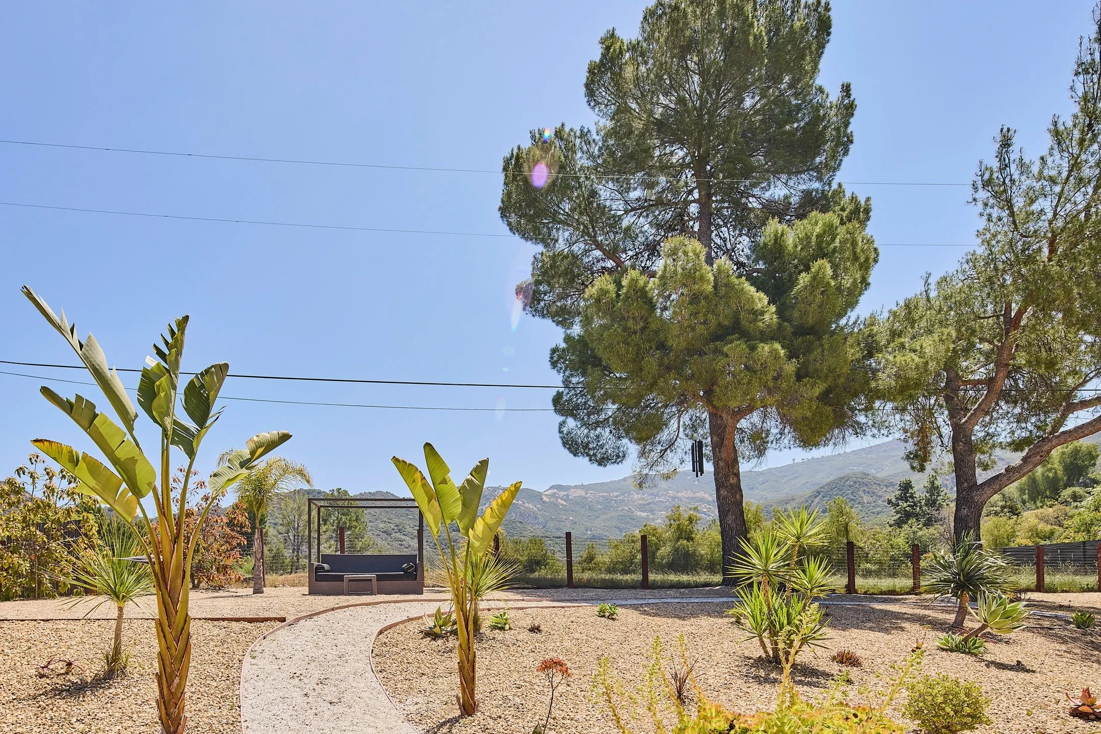 31-20250507_2266COLD-CANYON_STEVEN_LIPPMAN1648.jpeg