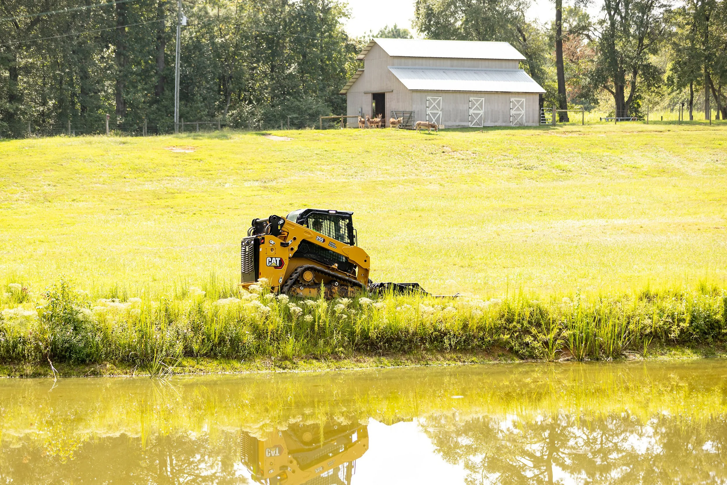 A small yellow Caterpillar skid steer loader working on a grassy field with a pond in the foreground. In the background, there is a wooden barn with a metal roof and several goats near the barn.