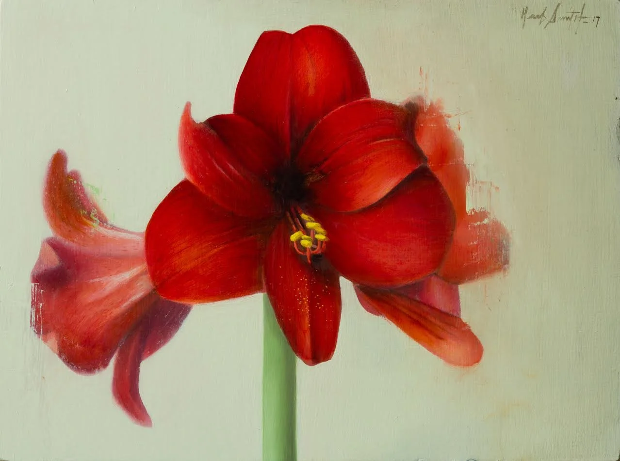 Herb Smith (American, b. 1981) / Amaryllis / Oil on Wood Panel / 12" x 9" / SOLD