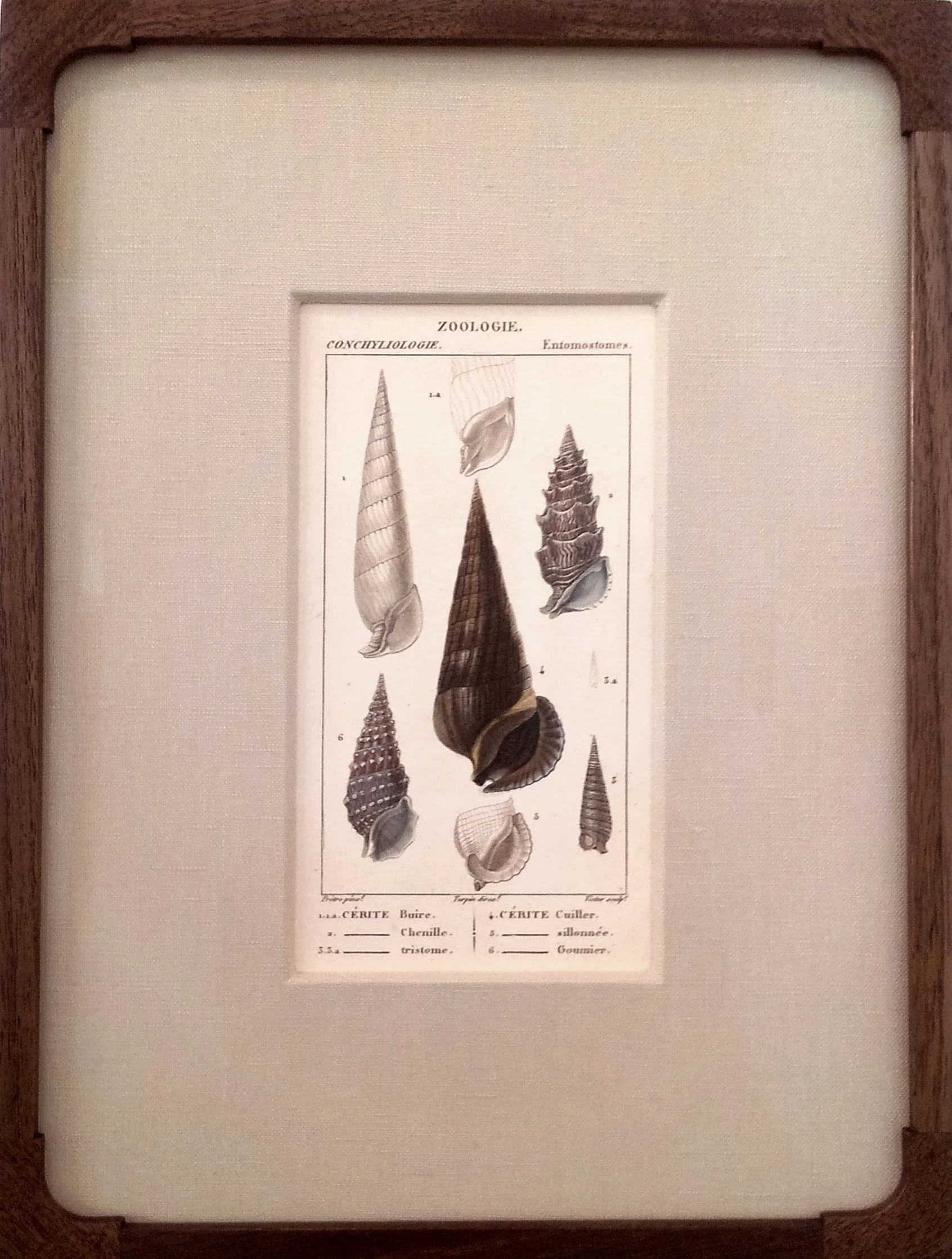 Framed Antique French Engraving