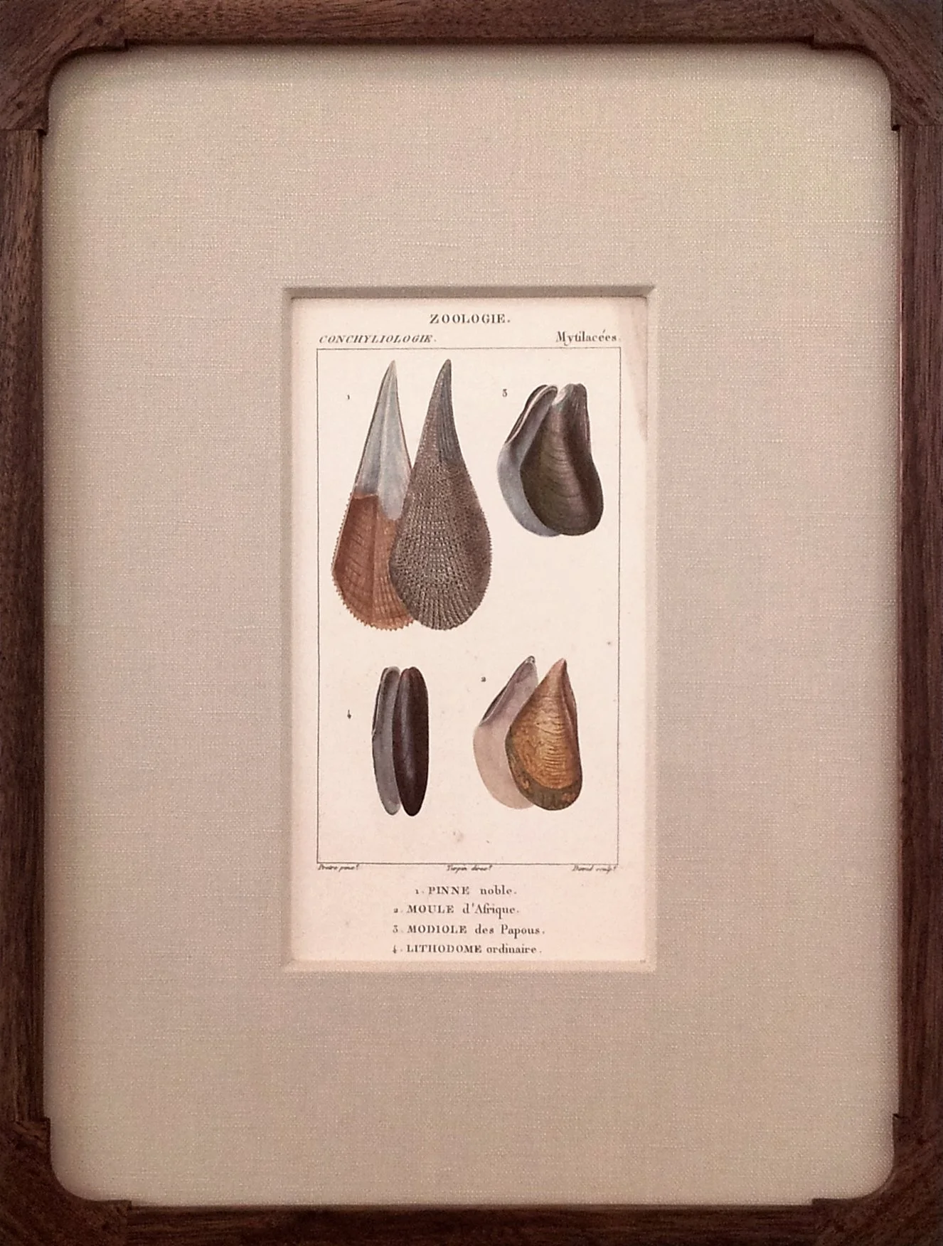 Framed Antique French Engraving