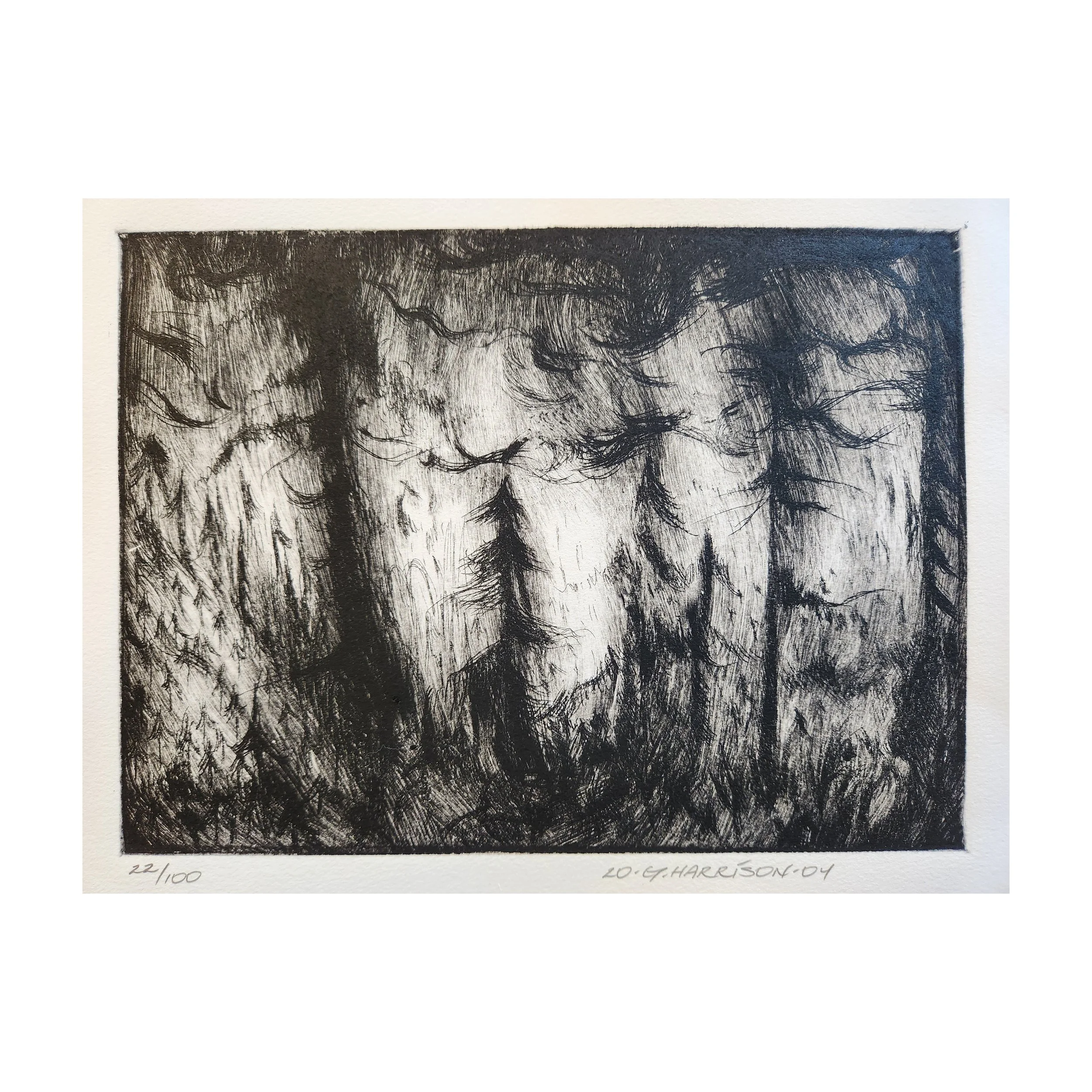 Snoqualmie Mt Baker Forest Scene 22 with White Border.jpg