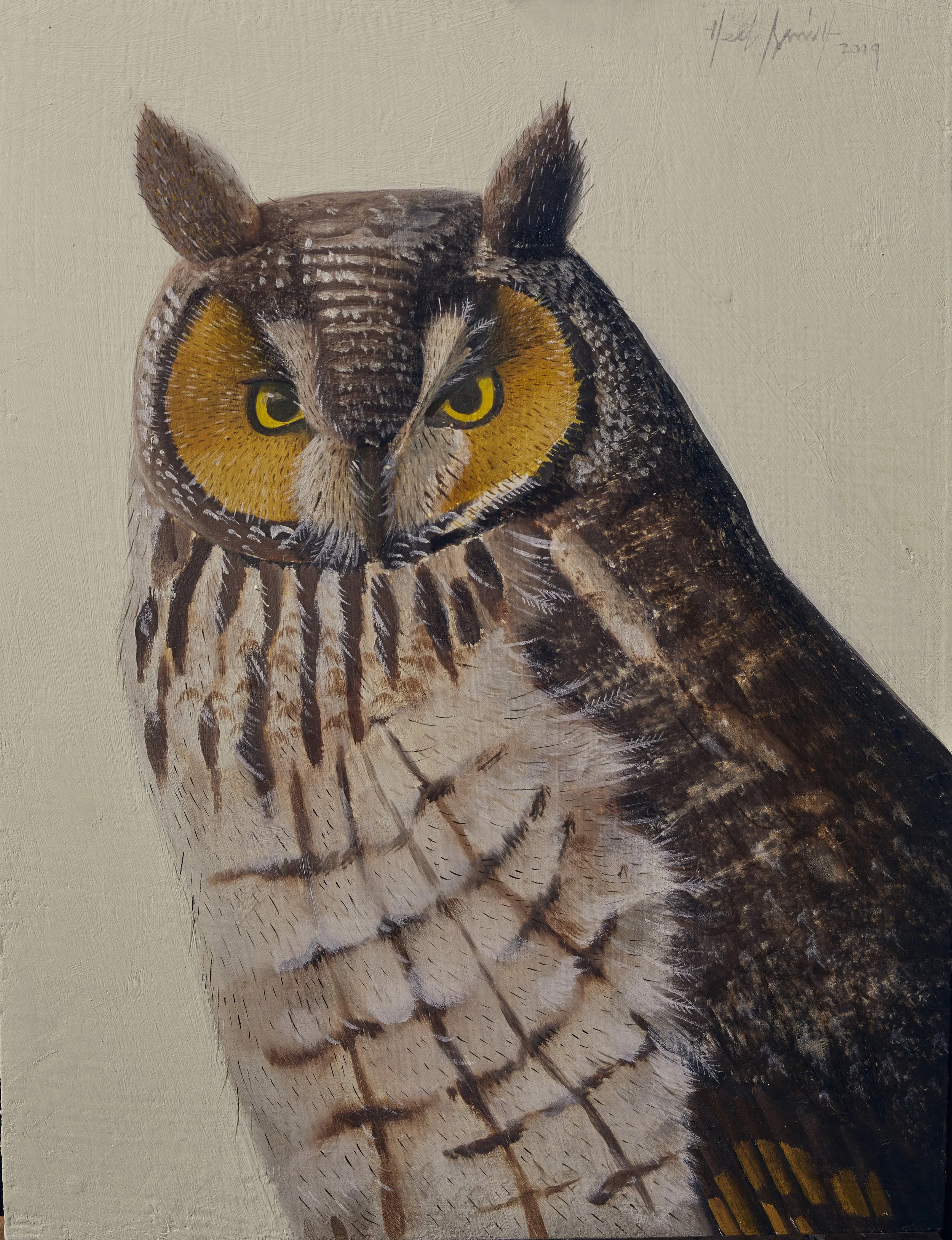 Herb Smith (American, b. 1981) / Long Eared Owl / Oil on Panel / 12" x 9" / SOLD
