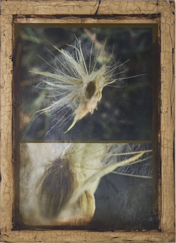 Kris Cox (American, b. 1951) / Mixed Media on Panel / Price Available Upon Request 