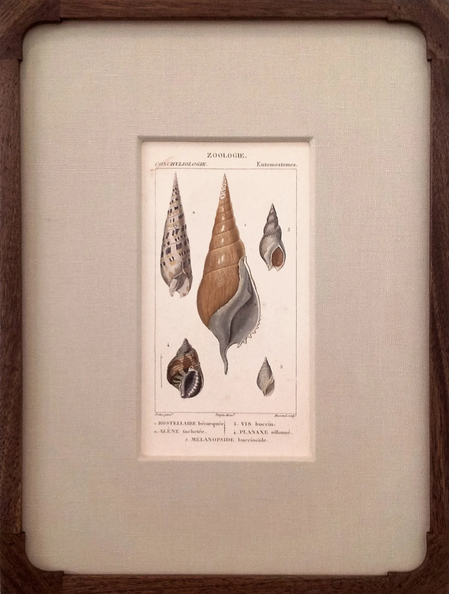 Framed Antique French Engraving