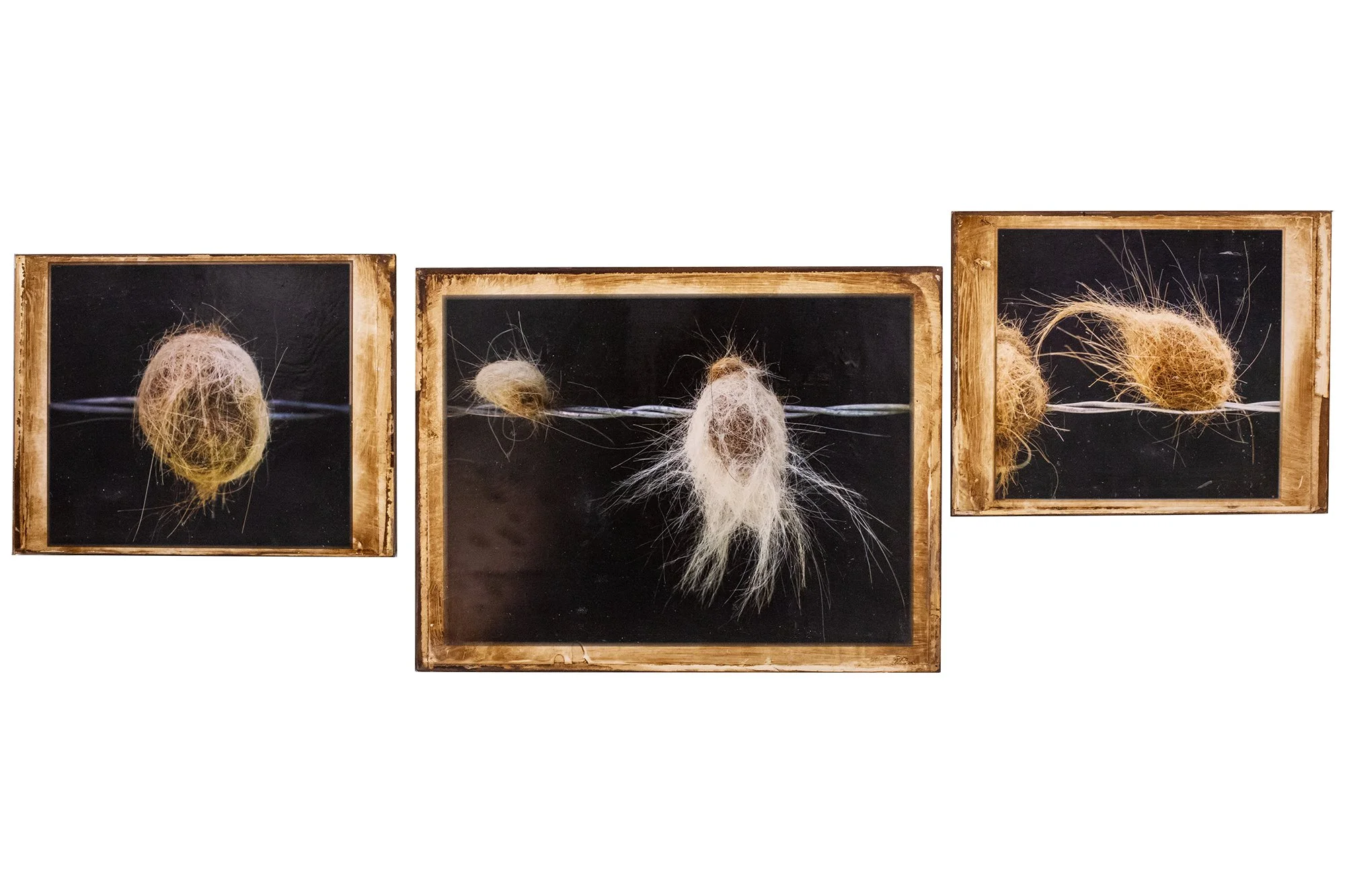 Kris Cox (American, b. 1951) / Price Available Upon Request 