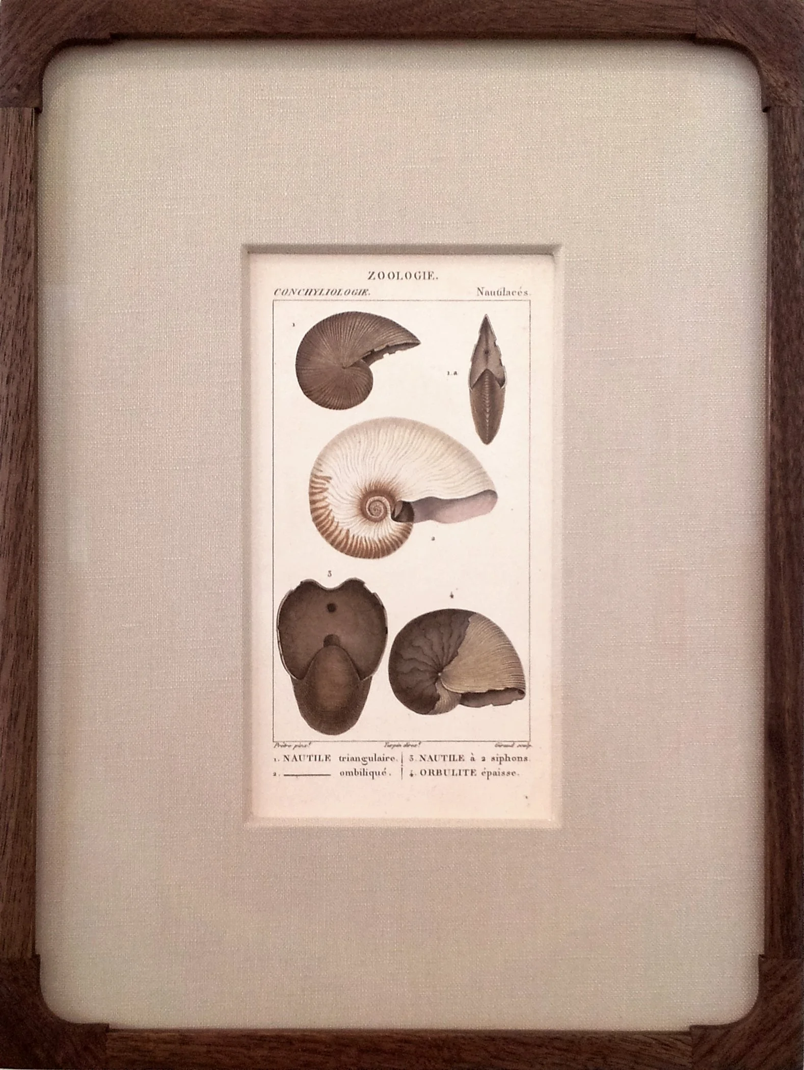 Framed Antique French Engraving