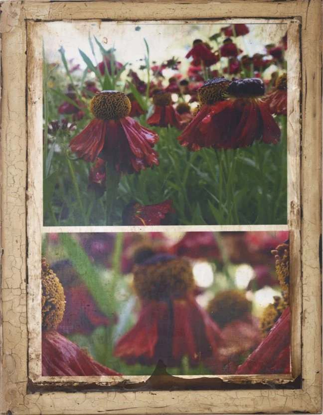 Botanicux Mysteria_red flowers.jpg