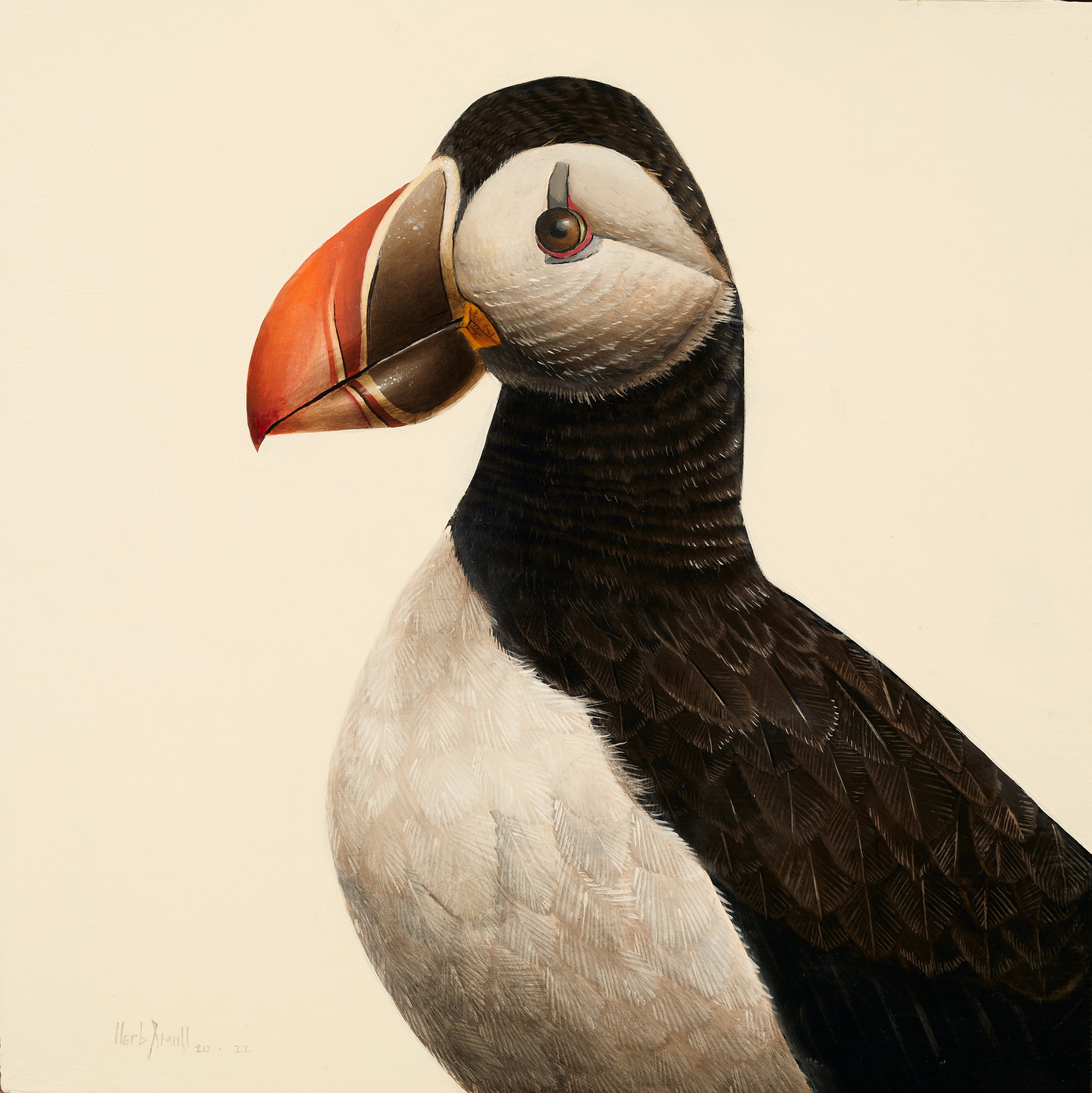 Herb Smith (American, b. 1981) / Puffin / Oil on Wood Panel / 12" x 12" / SOLD