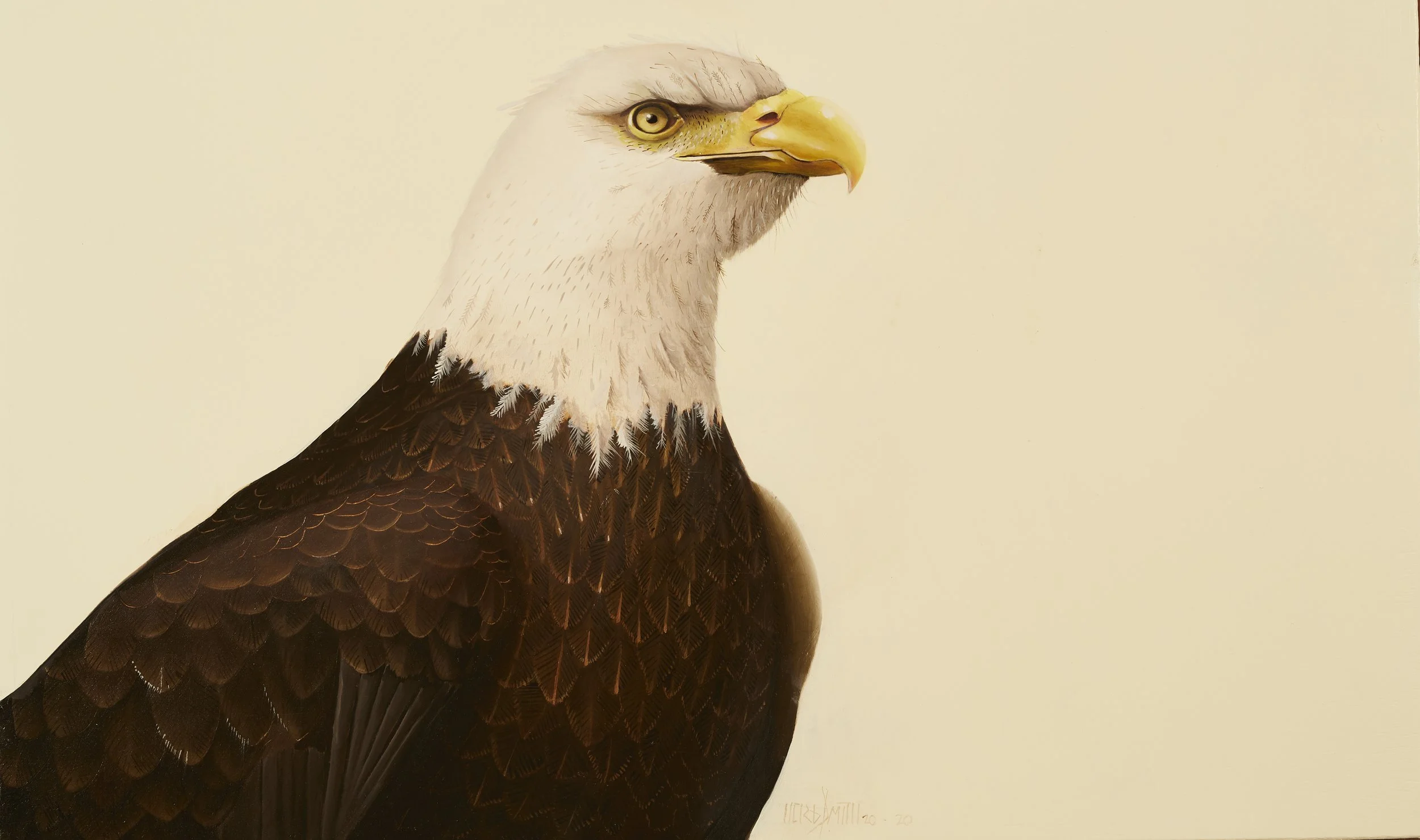 Herb Smith (American, b. 1981) / American Bald Eagle / Oil on Wood Panel / 12" x 24" / SOLD