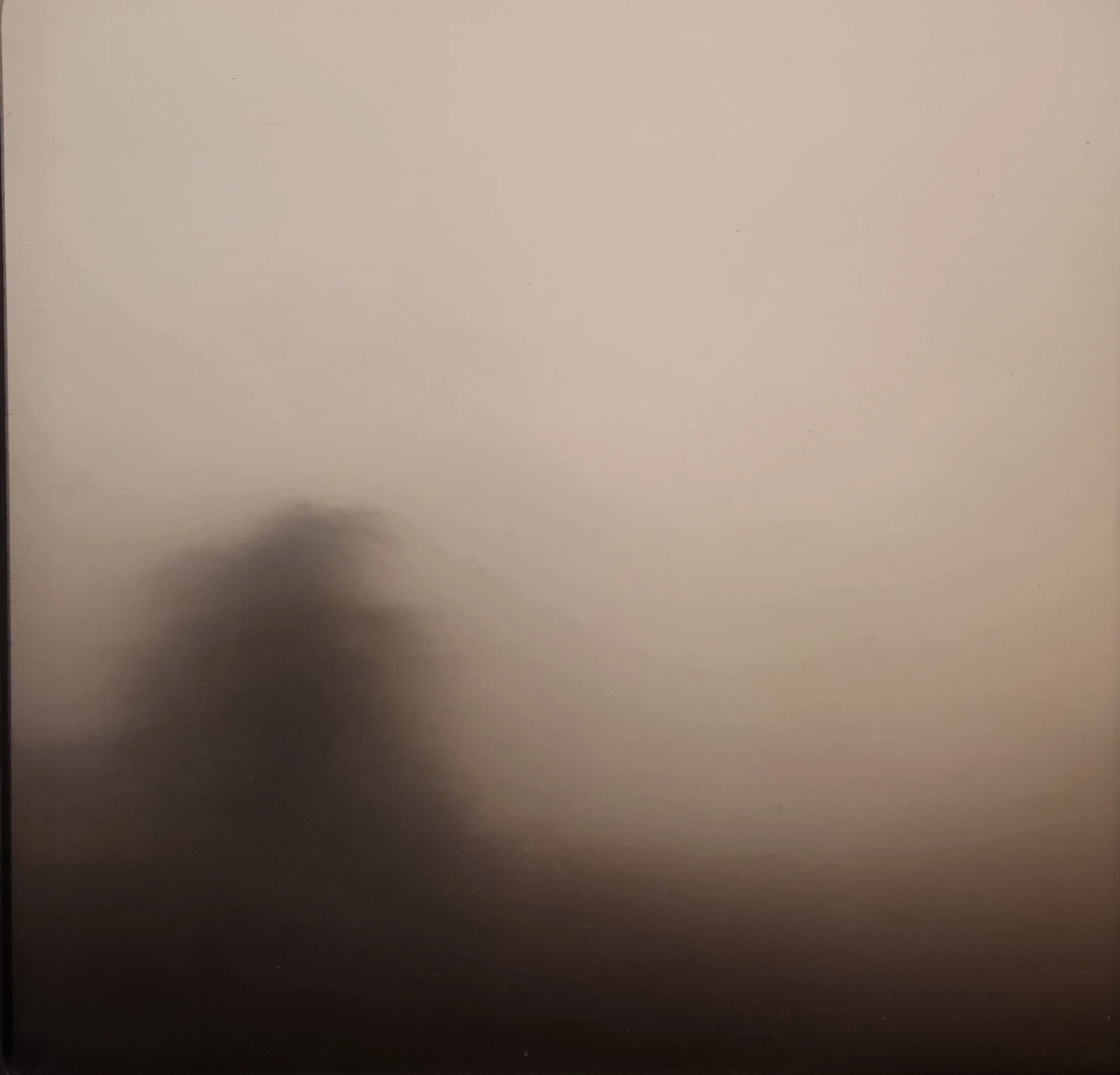 Federico Mazza, Transit 208