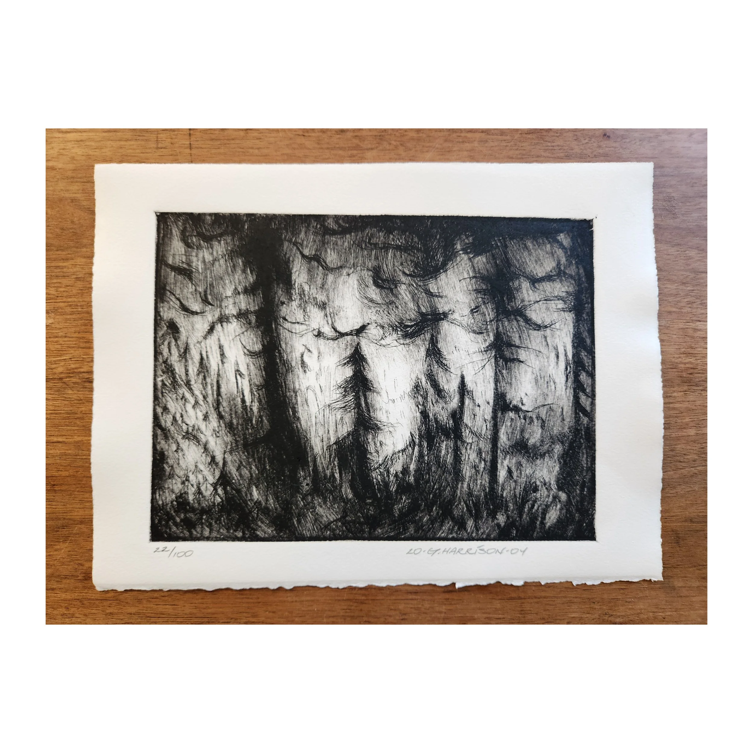 Snoqualmie / Mt. Baker Forest Scene