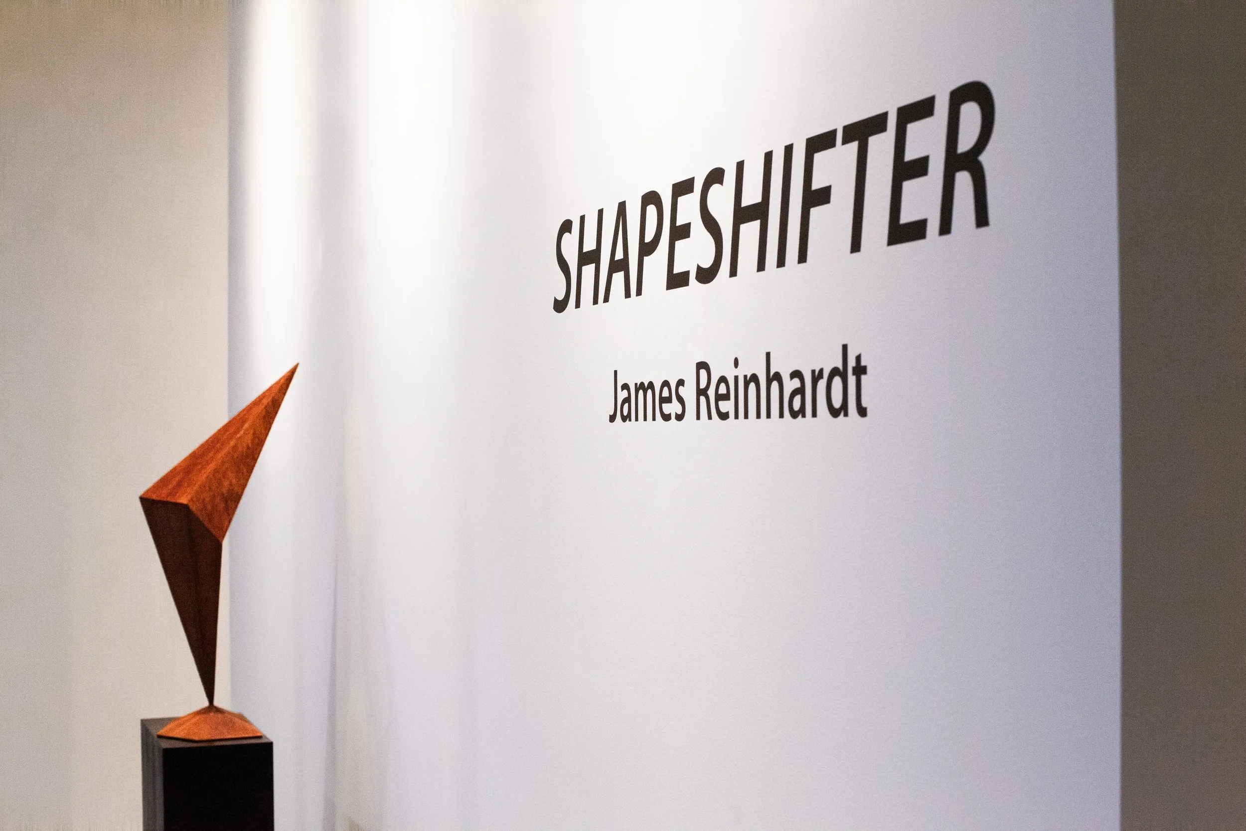 James Reinhardt, Shapeshifter, Plasteel Frames & Gallery, 2023.jpg