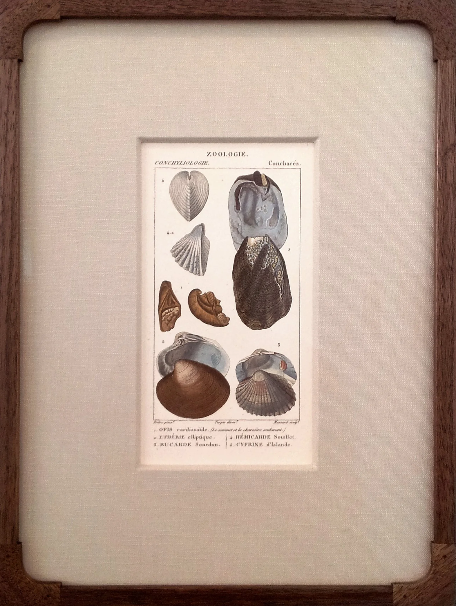 Framed Antique French Engraving