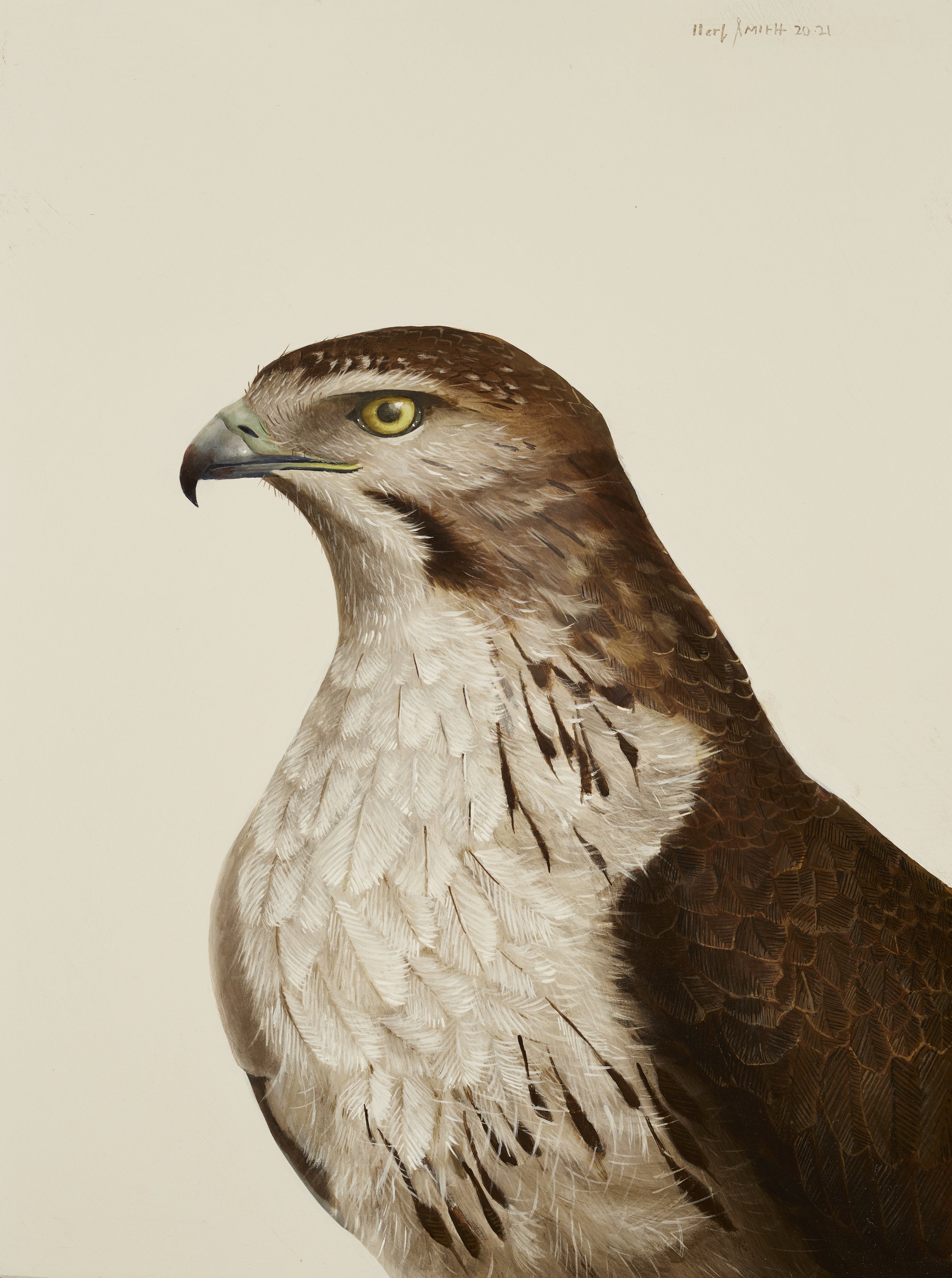 Herb Smith (American, b. 1981) / Red Tail Hawk (2021) / Oil on Wood Panel / 12" x 9" / SOLD