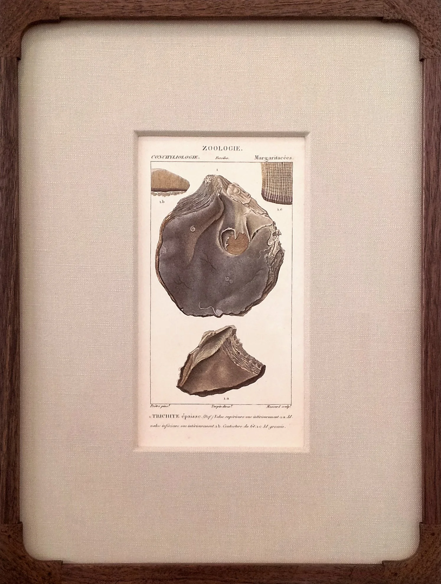 Framed Antique French Engraving