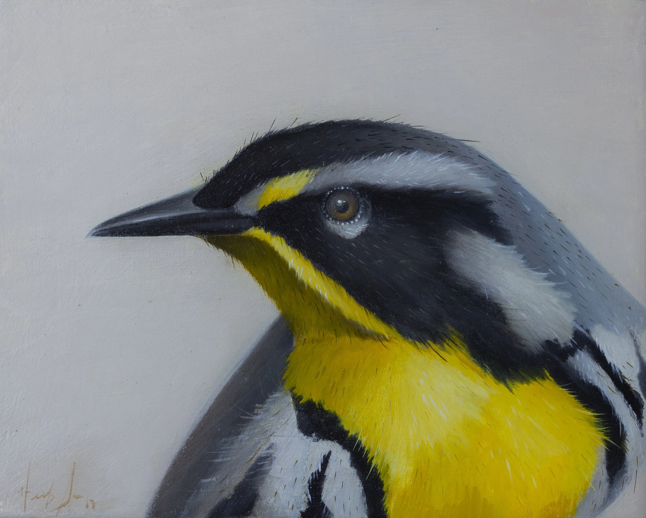 Herb Smith (American, b. 1981) / Yellow Throated Warbler / 8" x 10" / Oil on Wood Panel / SOLD