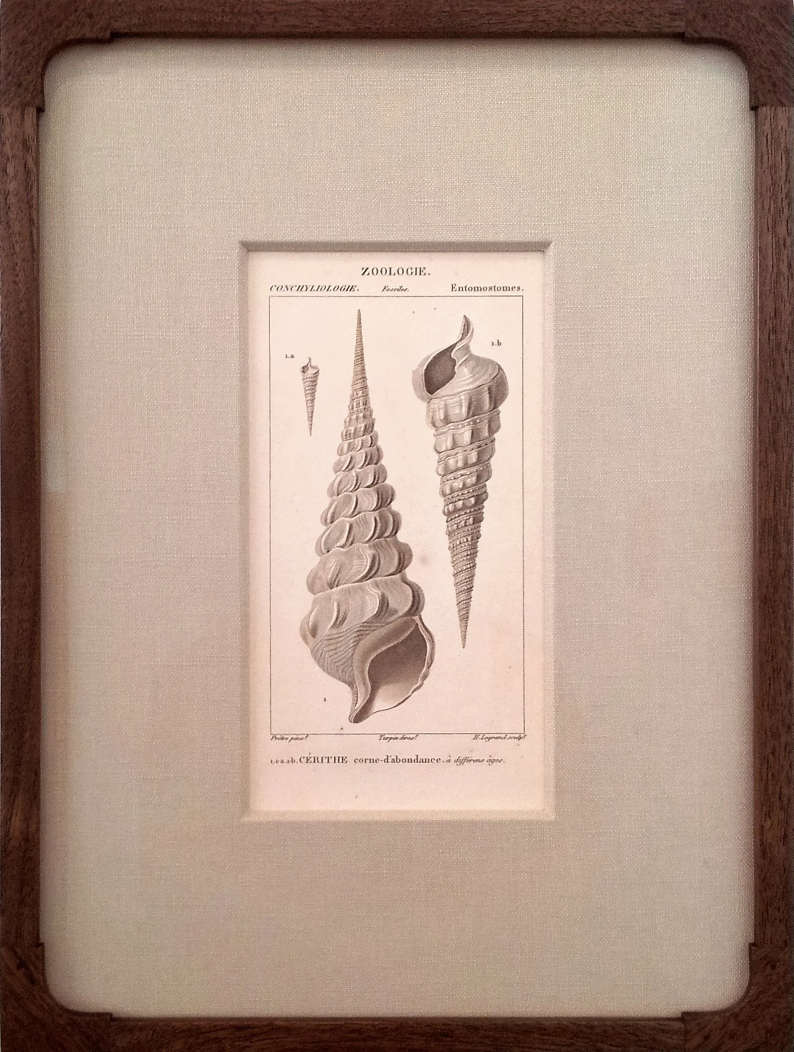 Framed Antique French Engraving