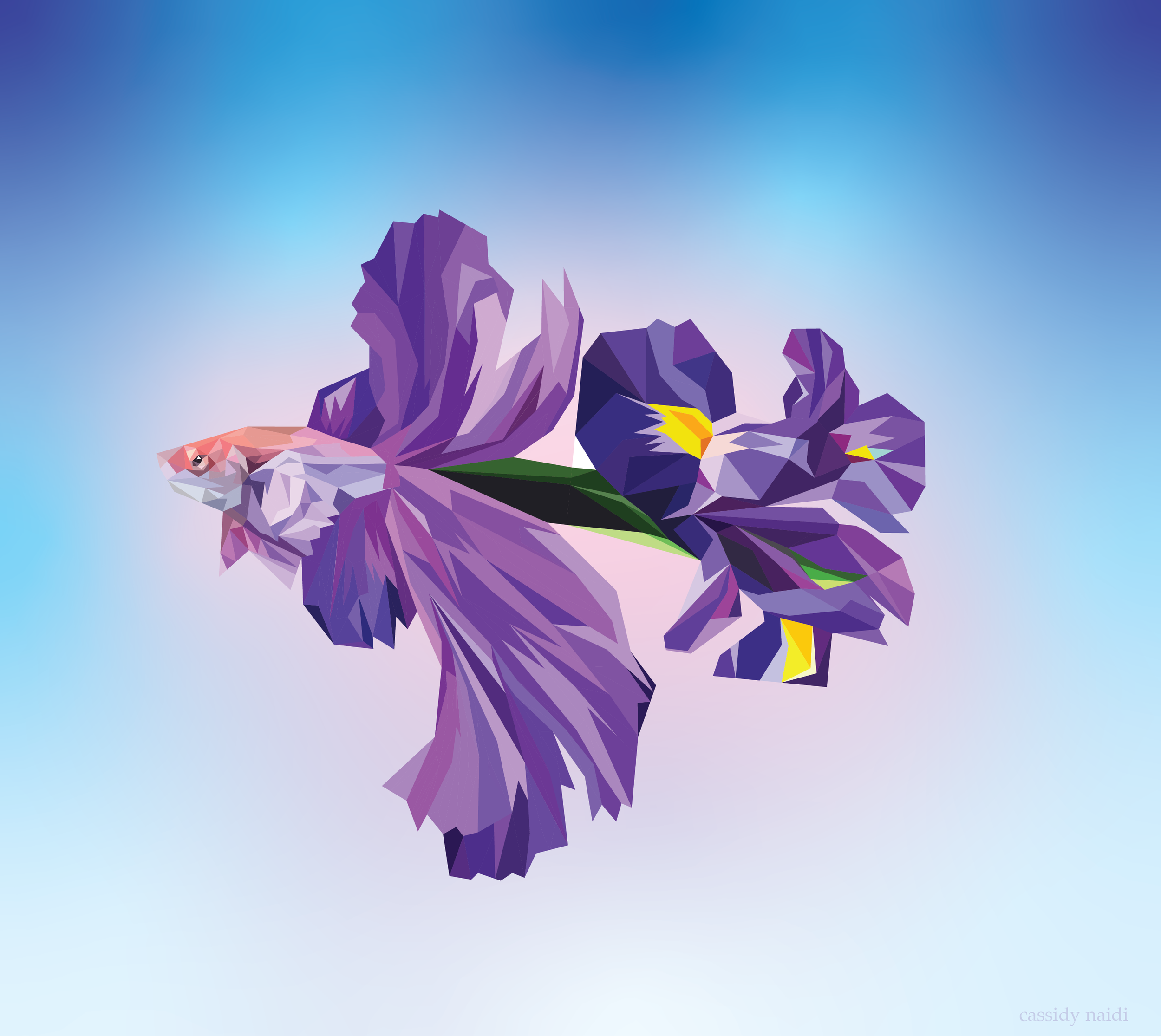 betta-01.png