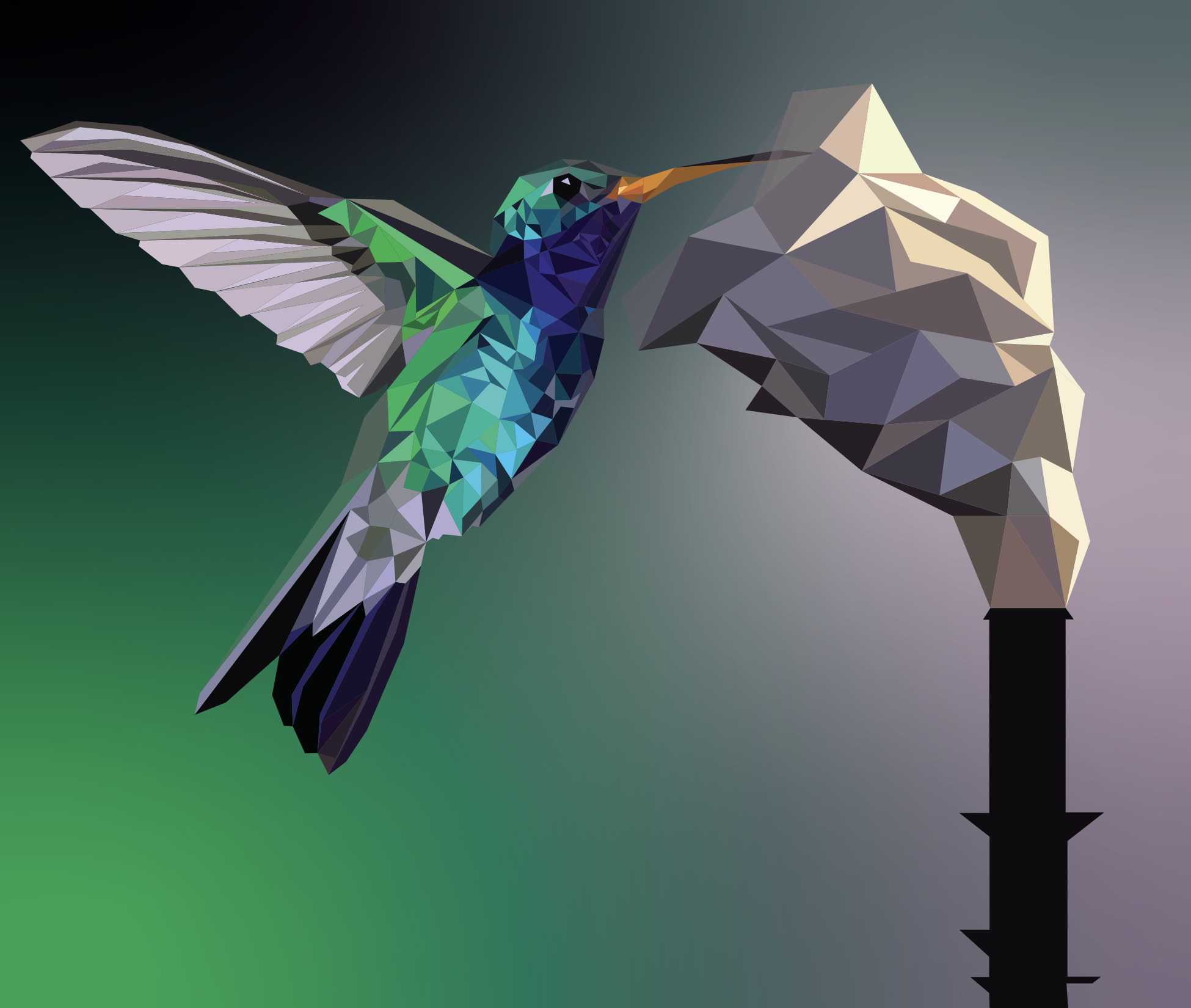 hummingbird.png