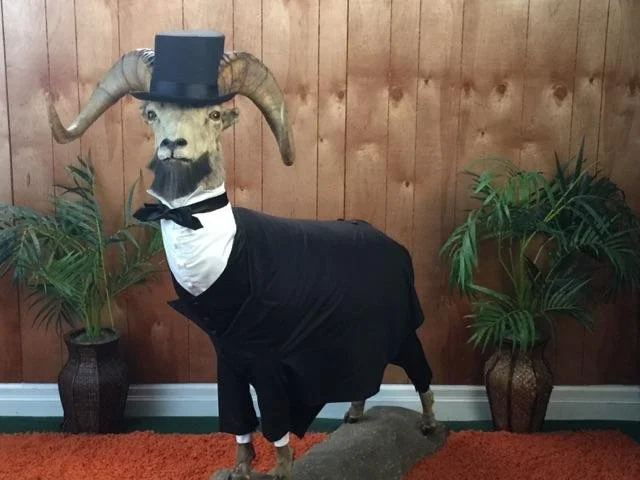 Abraham Lincoln goat for Nickelodeon 