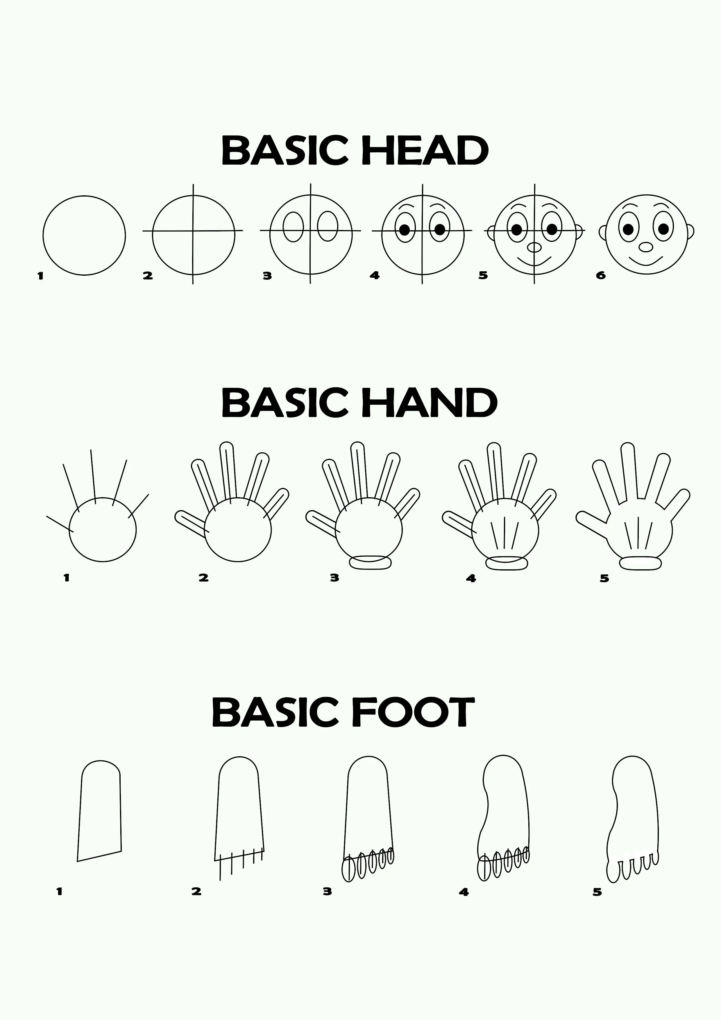 BASIC HEAD HAND FOOT.jpg