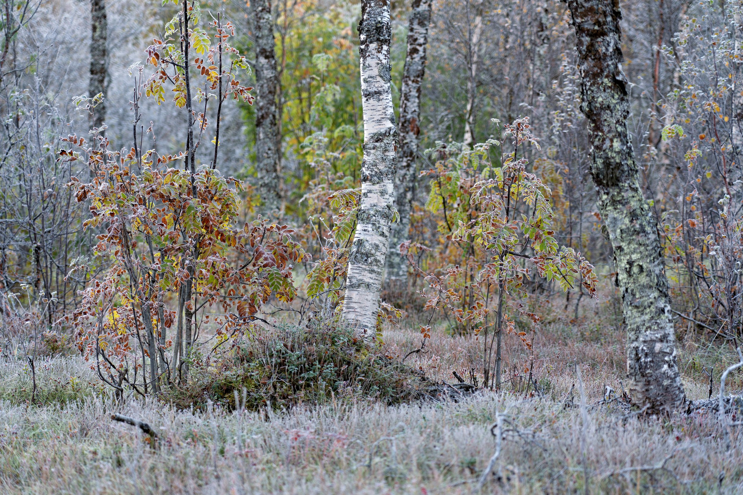 Norway-20240928-737-Edit.jpg