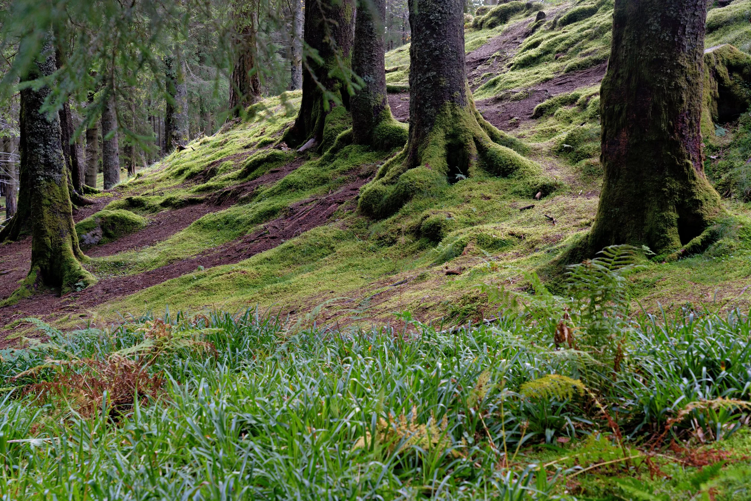 Norway-20240917-100-Edit-Edit-2.jpg
